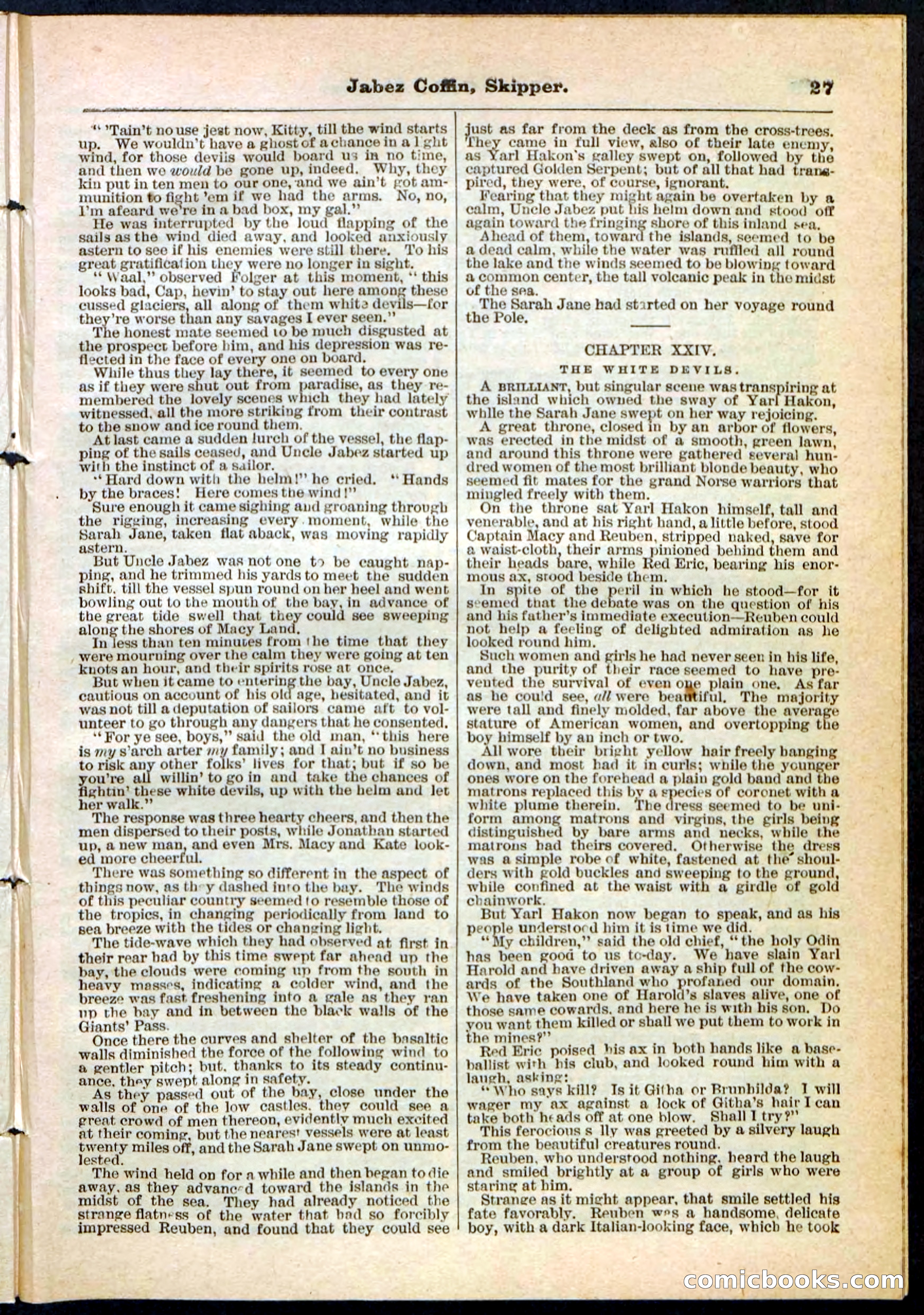 Beadle's Pocket Library No. 116 — page 27 of 32