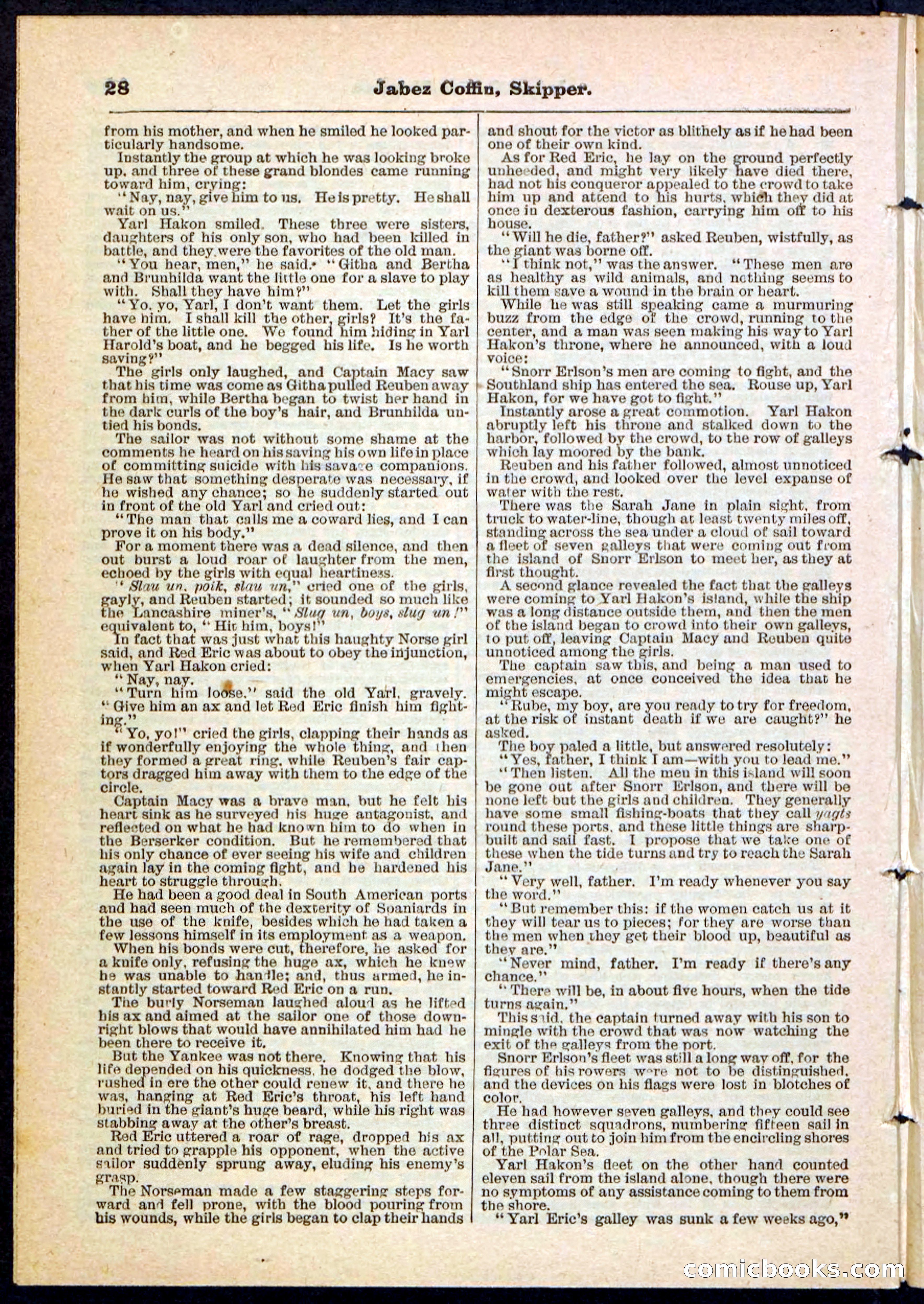 Beadle's Pocket Library No. 116 — page 28 of 32