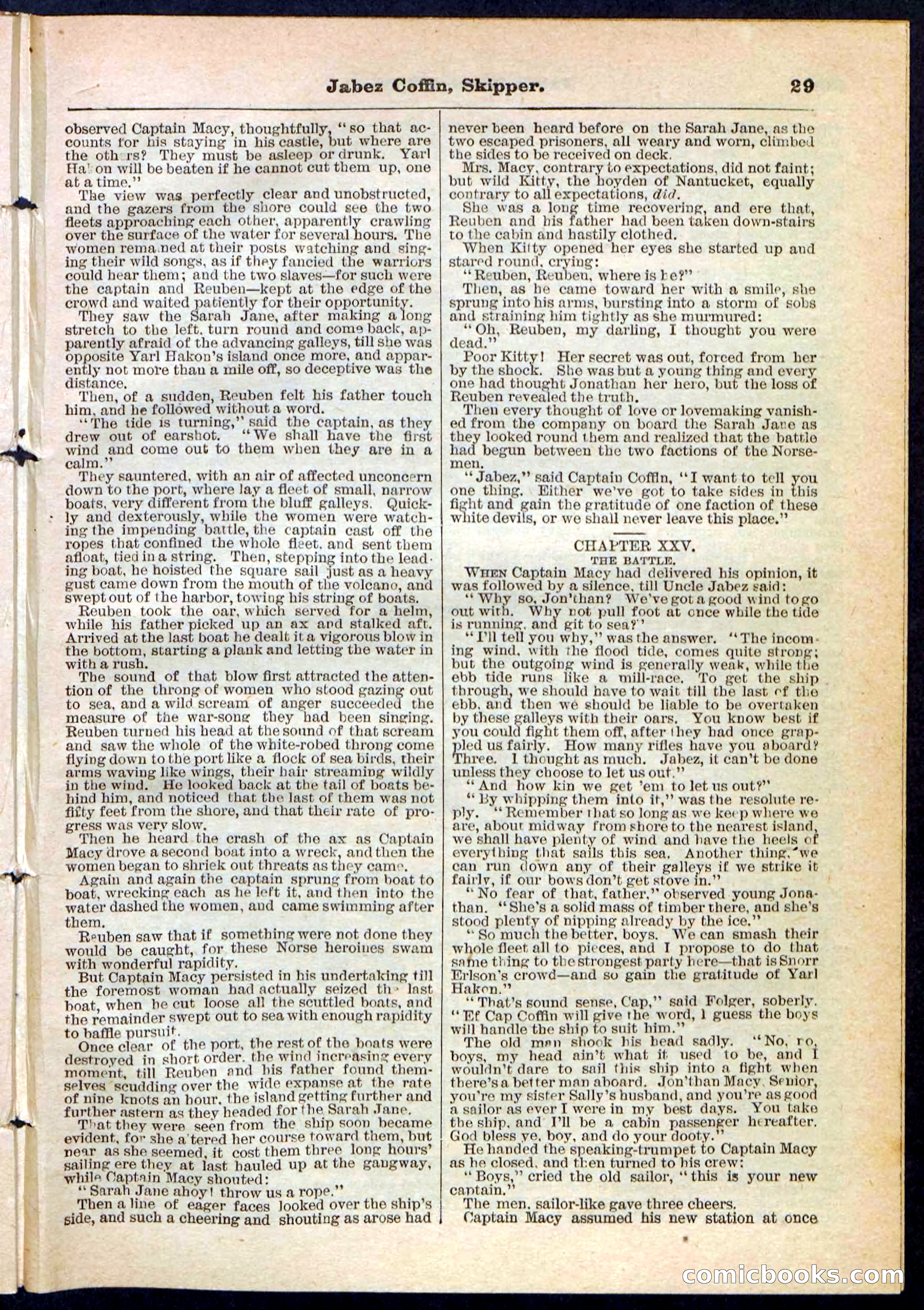Beadle's Pocket Library No. 116 — page 29 of 32