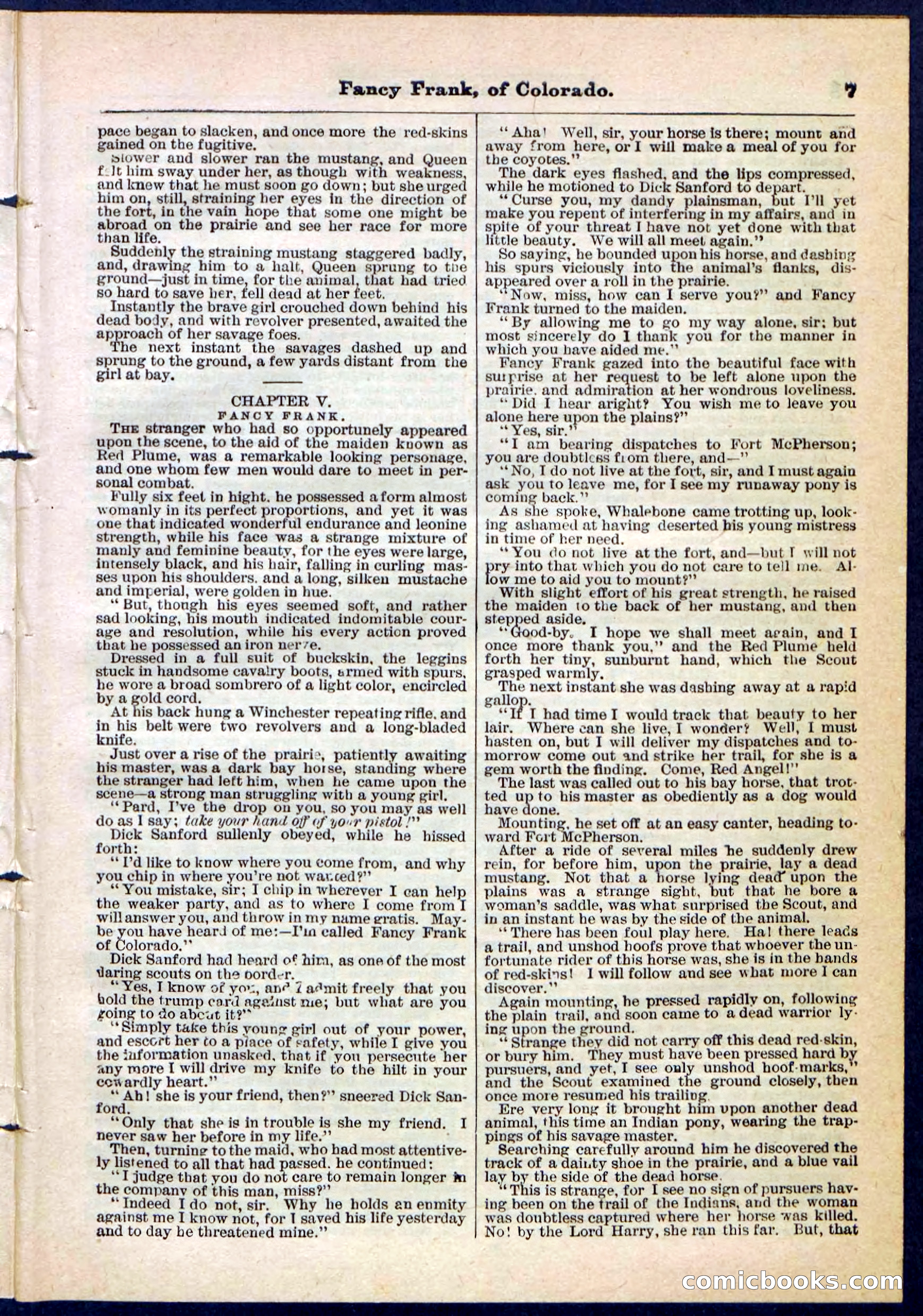 Beadle's Pocket Library No. 117 — page 7 of 32