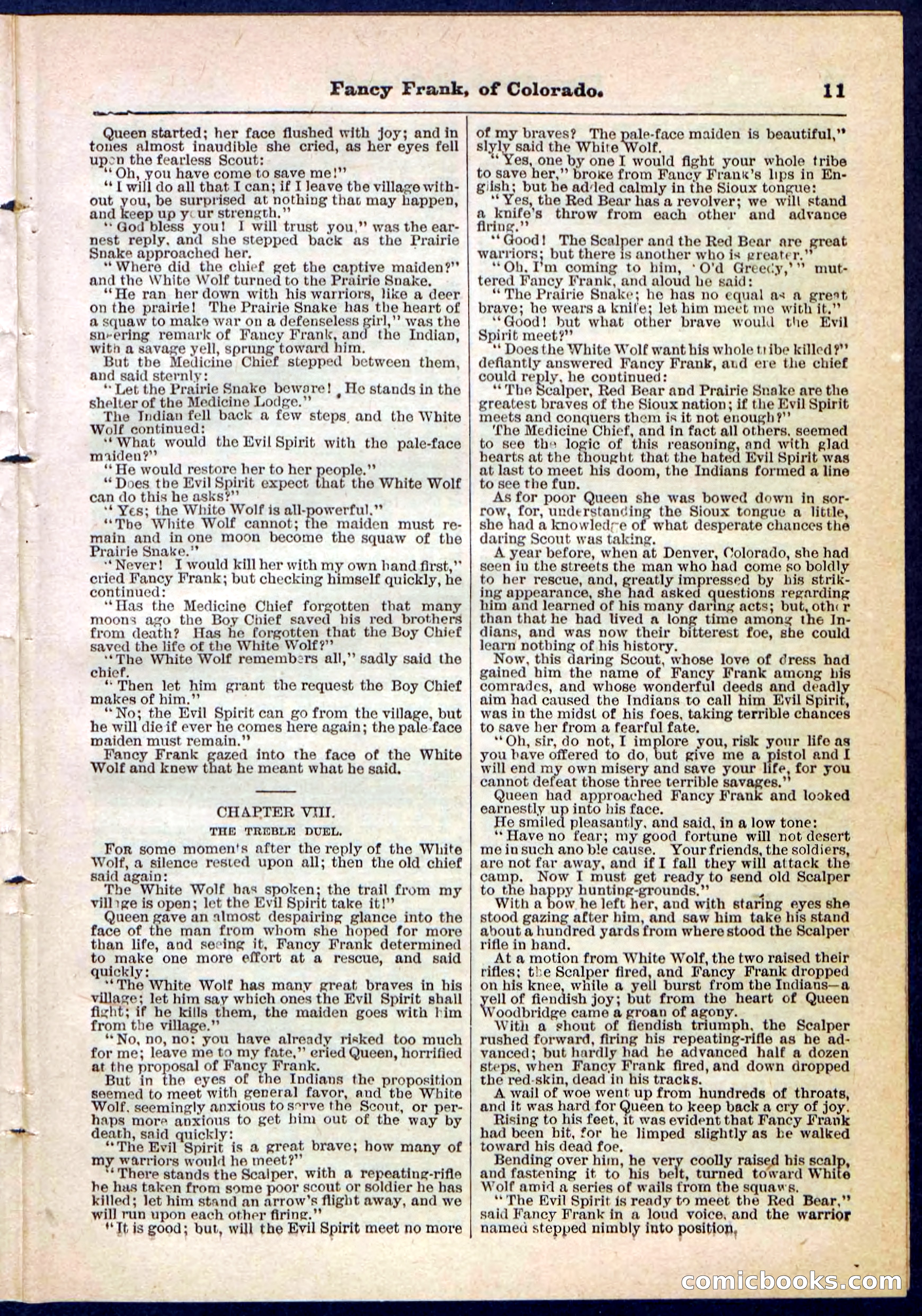 Beadle's Pocket Library No. 117 — page 11 of 32