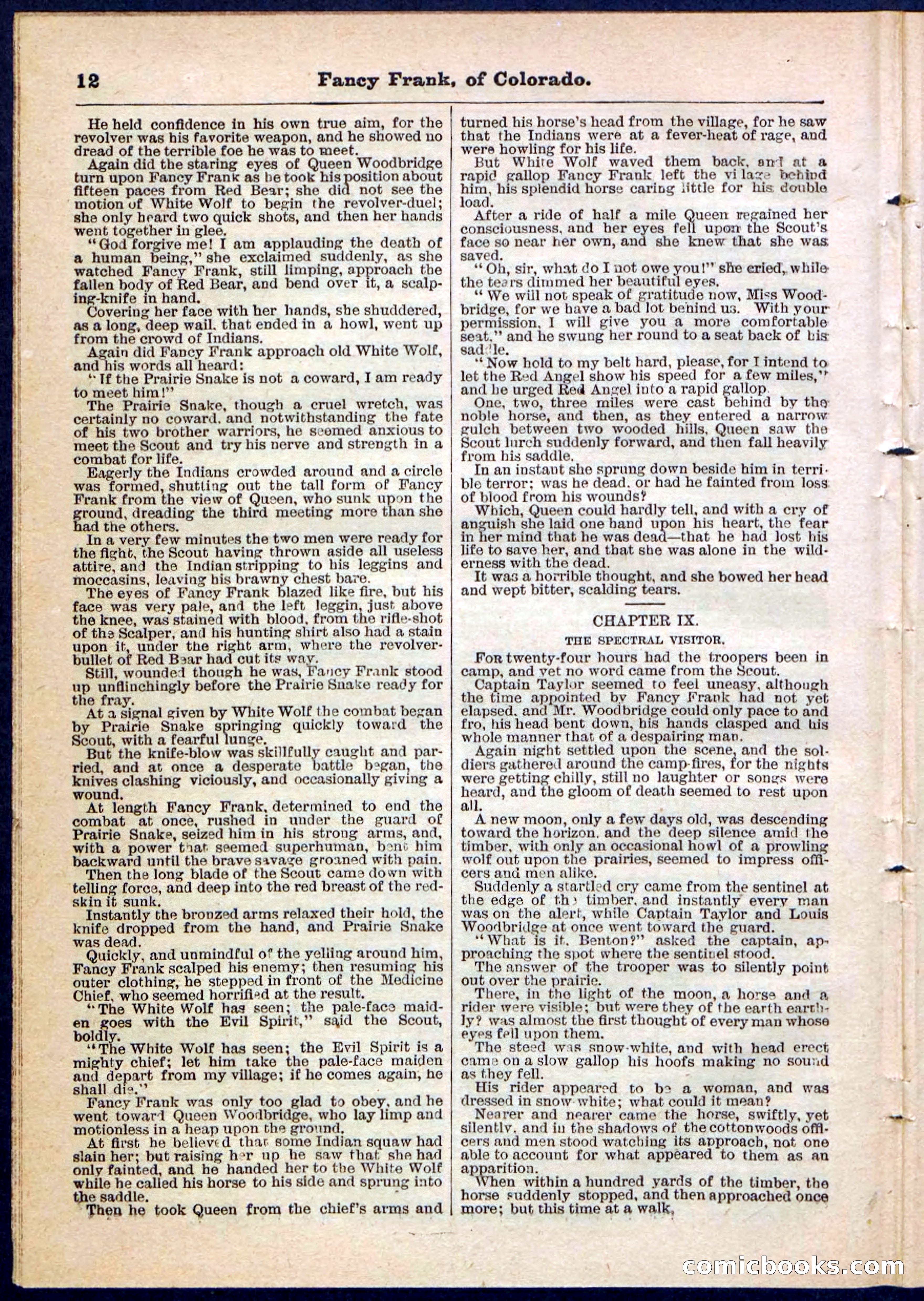 Beadle's Pocket Library No. 117 — page 12 of 32