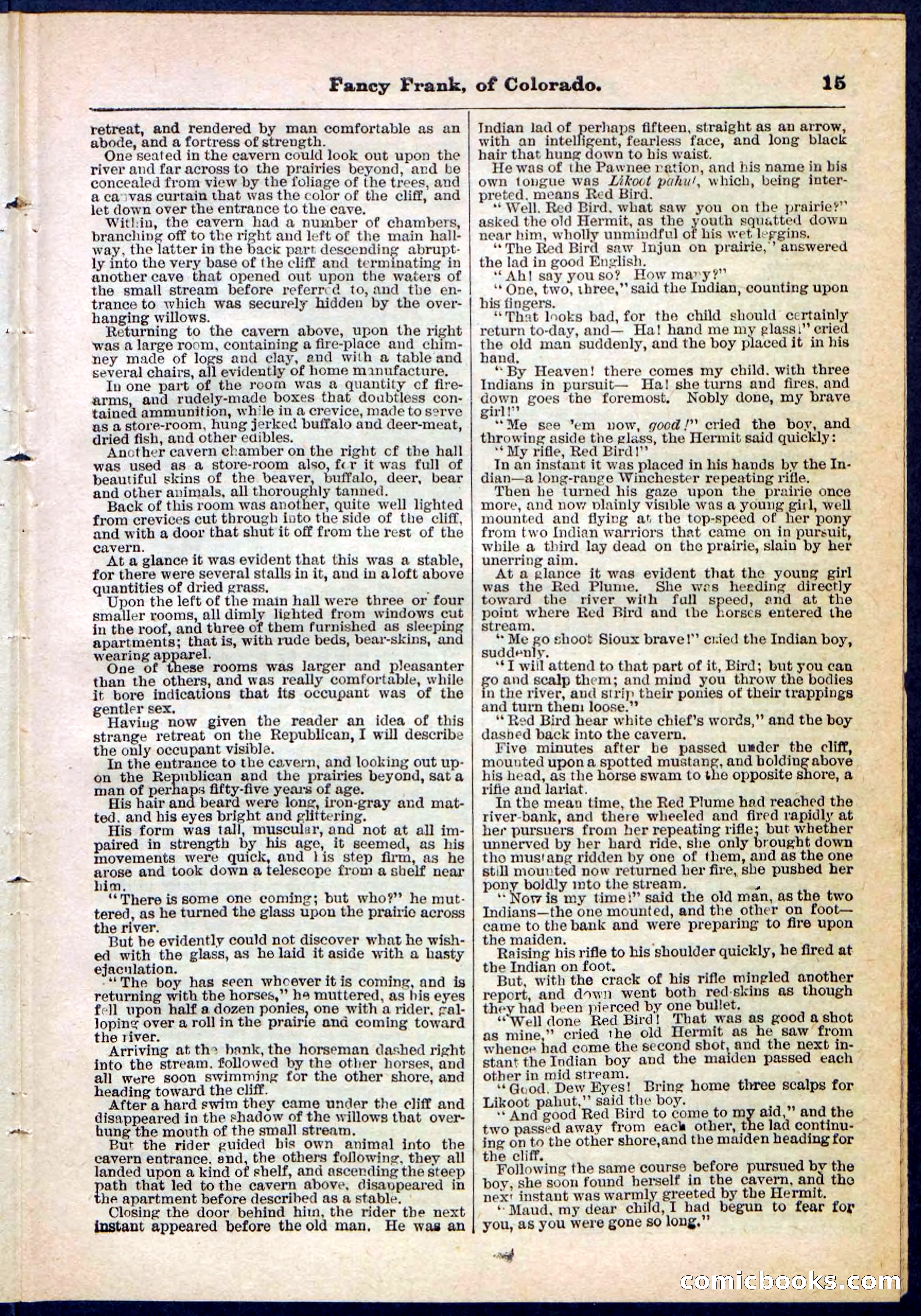 Beadle's Pocket Library No. 117 — page 15 of 32