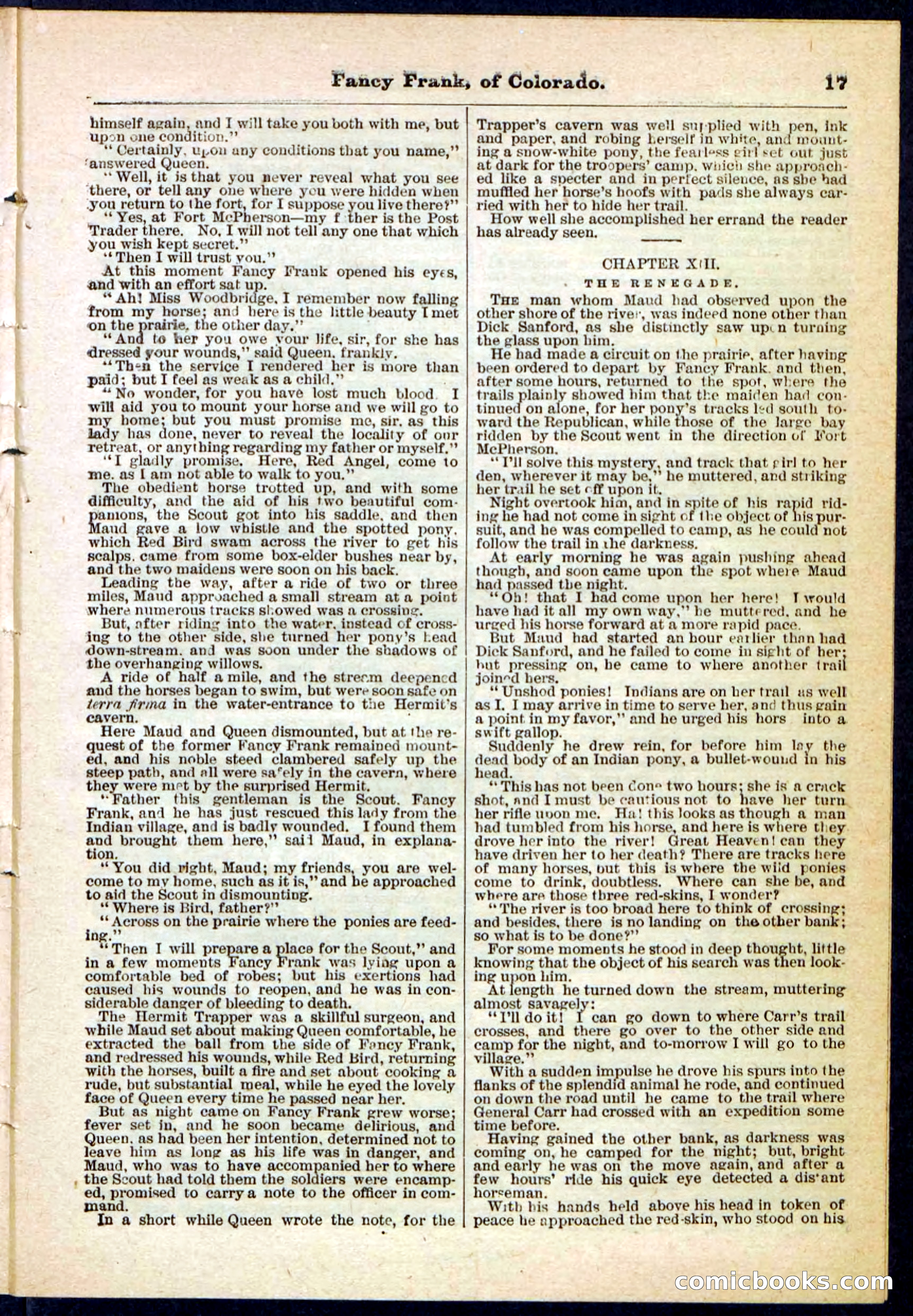 Beadle's Pocket Library No. 117 — page 17 of 32