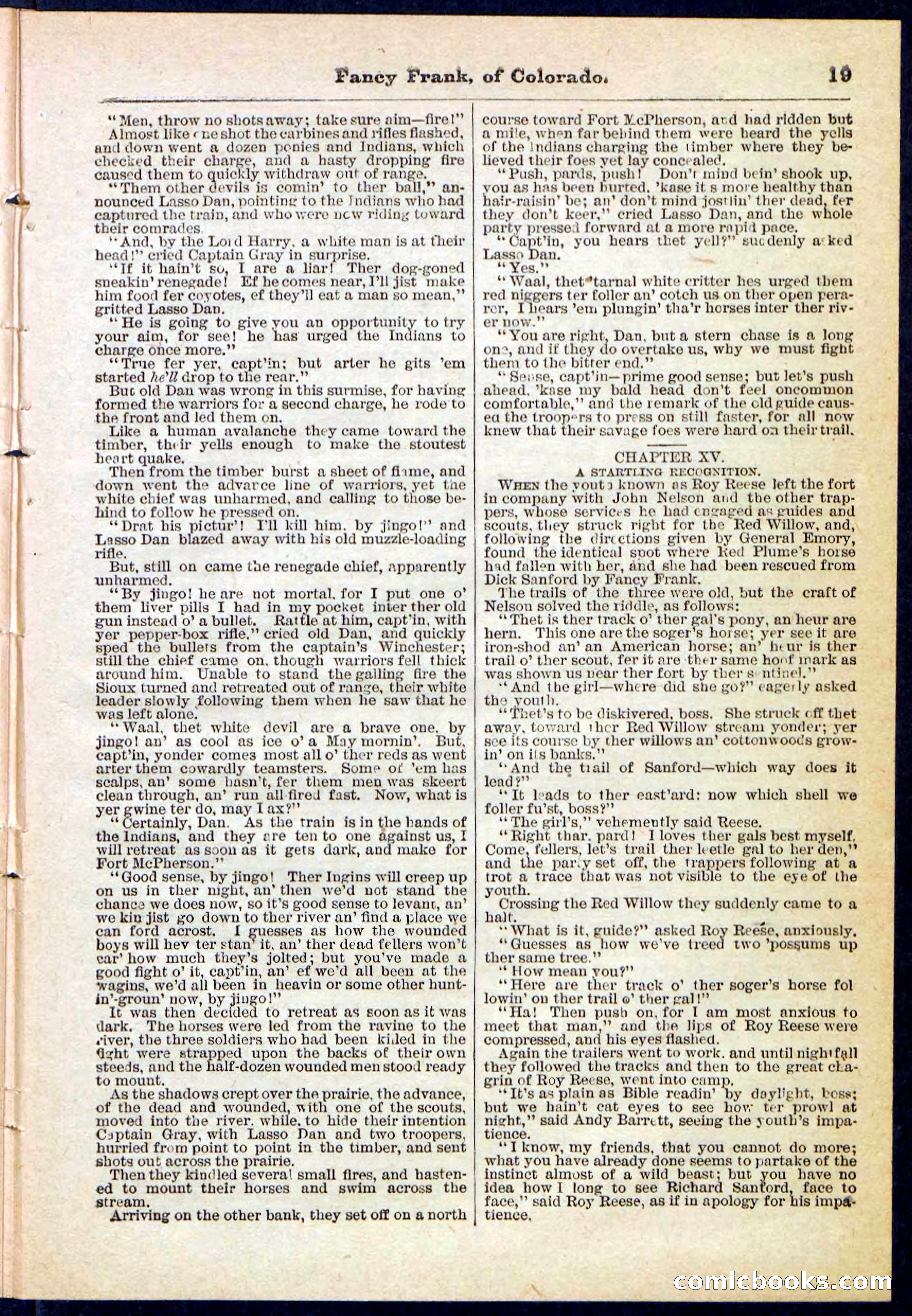 Beadle's Pocket Library No. 117 — page 19 of 32