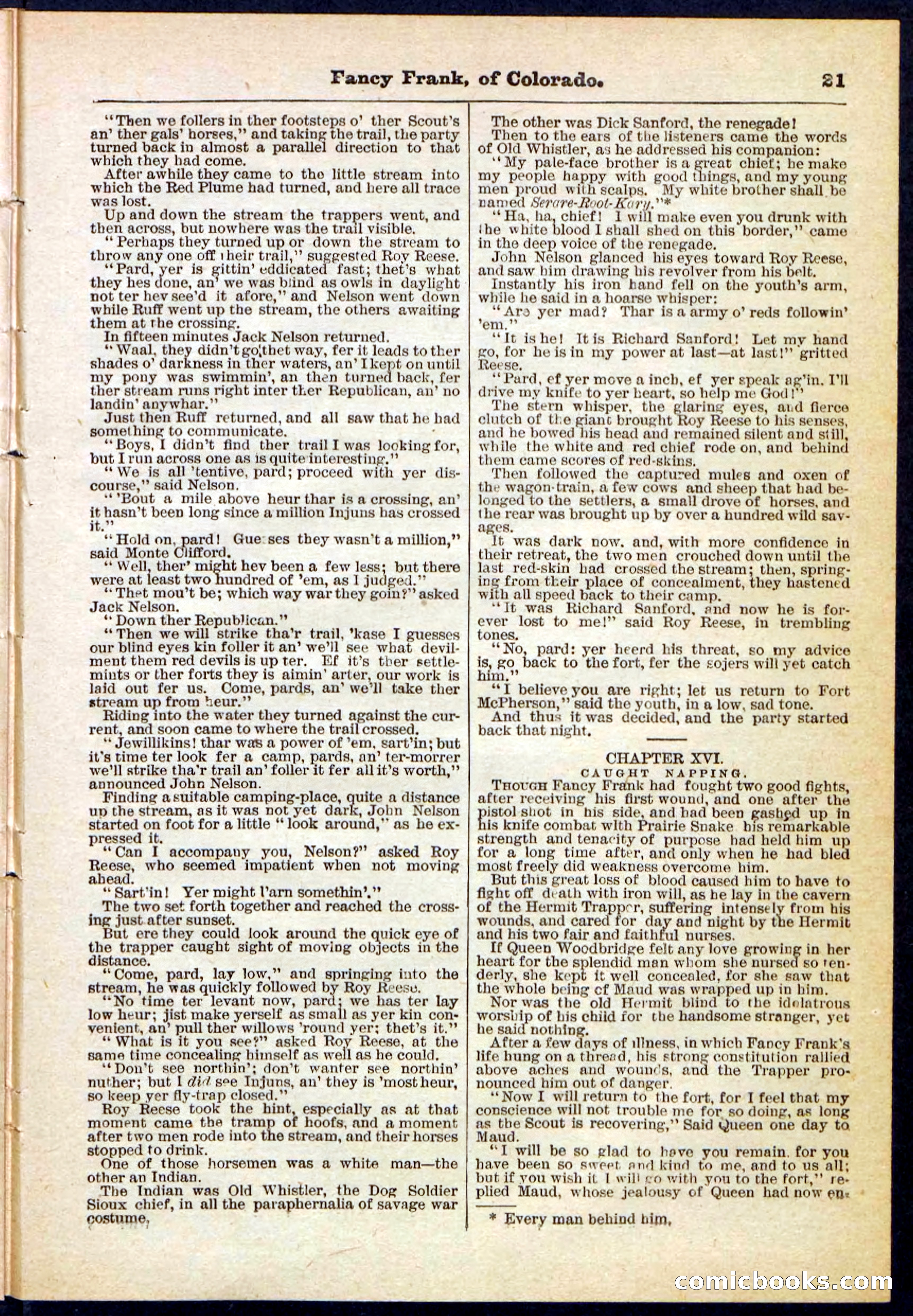 Beadle's Pocket Library No. 117 — page 21 of 32