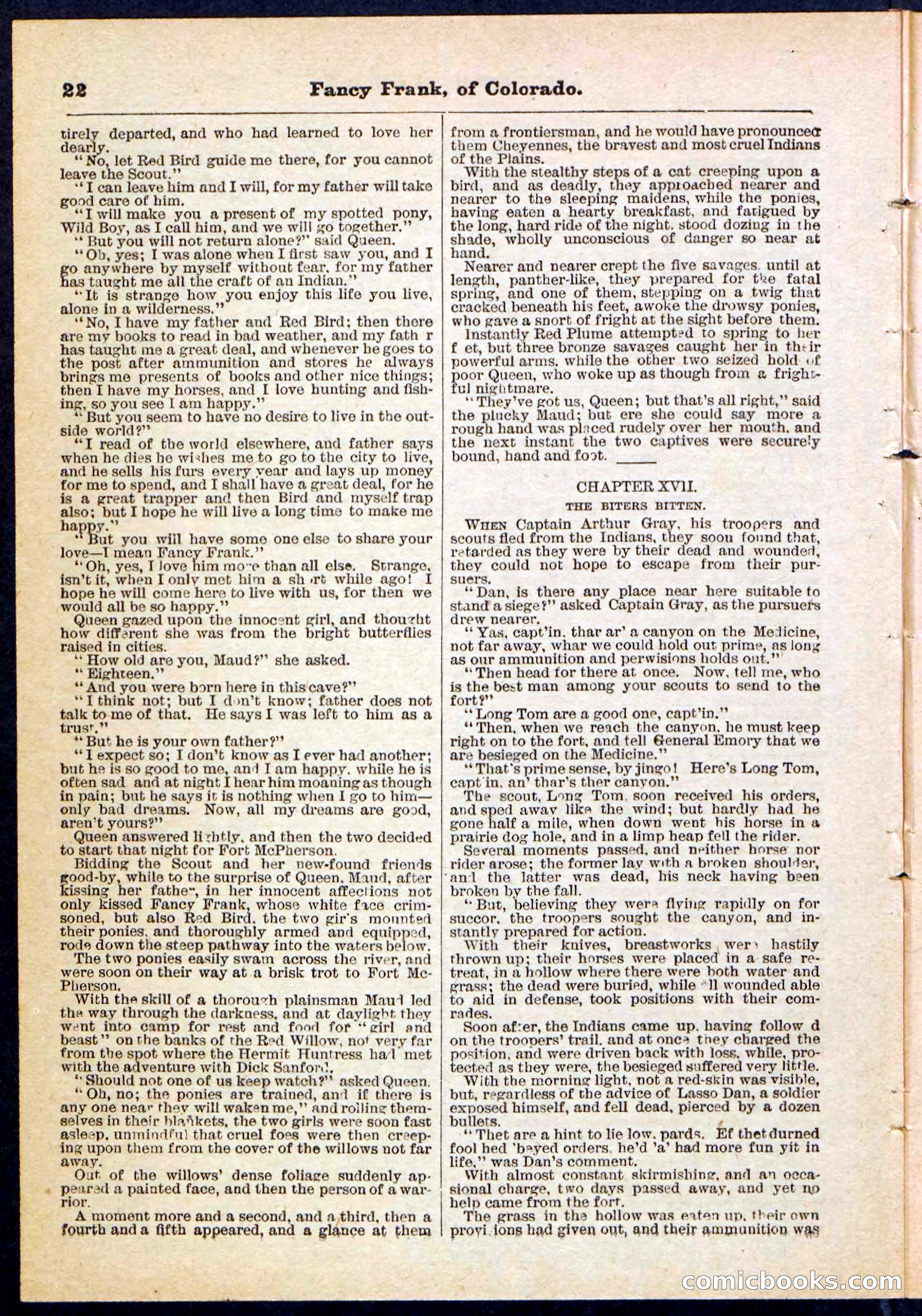 Beadle's Pocket Library No. 117 — page 22 of 32
