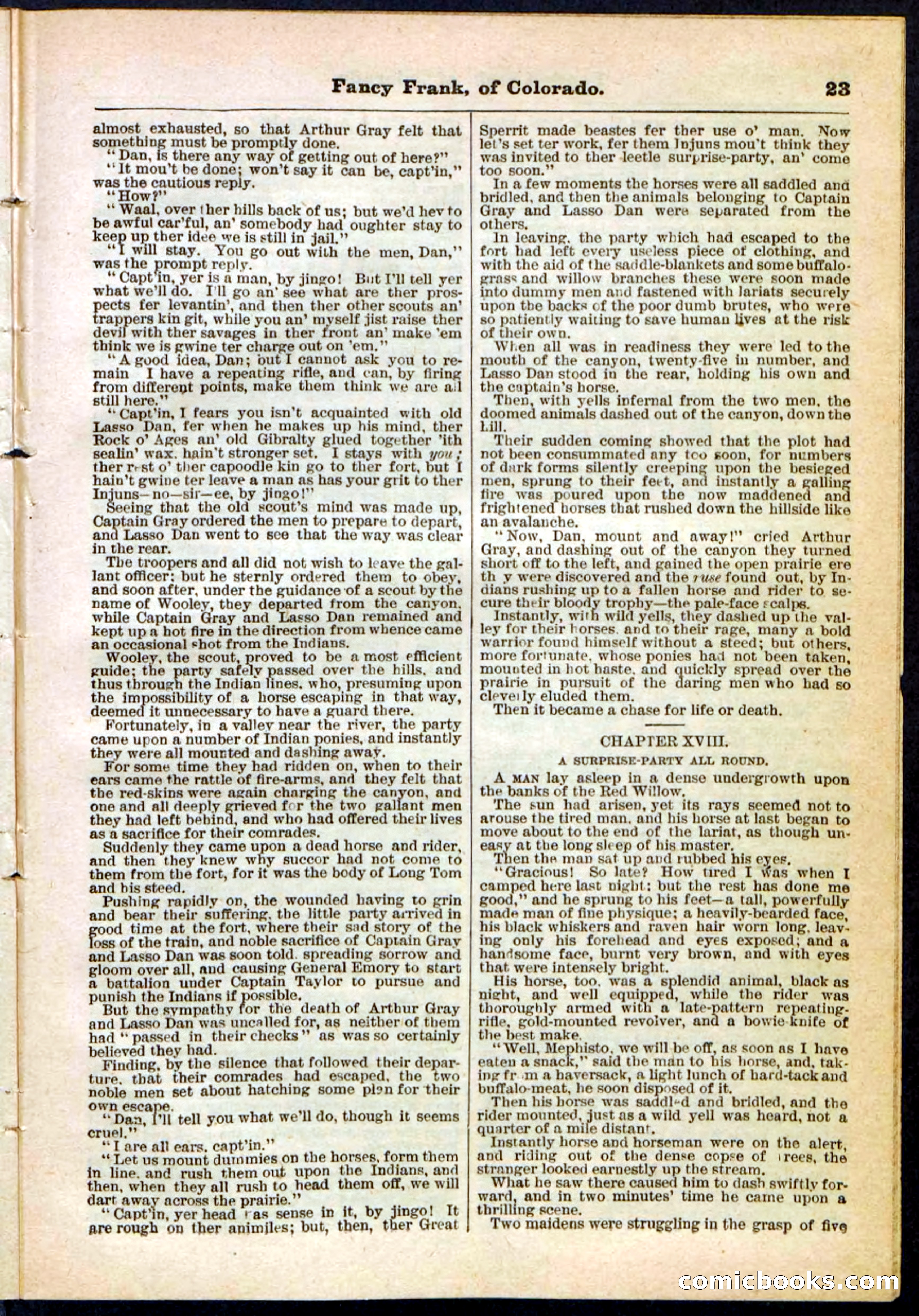 Beadle's Pocket Library No. 117 — page 23 of 32