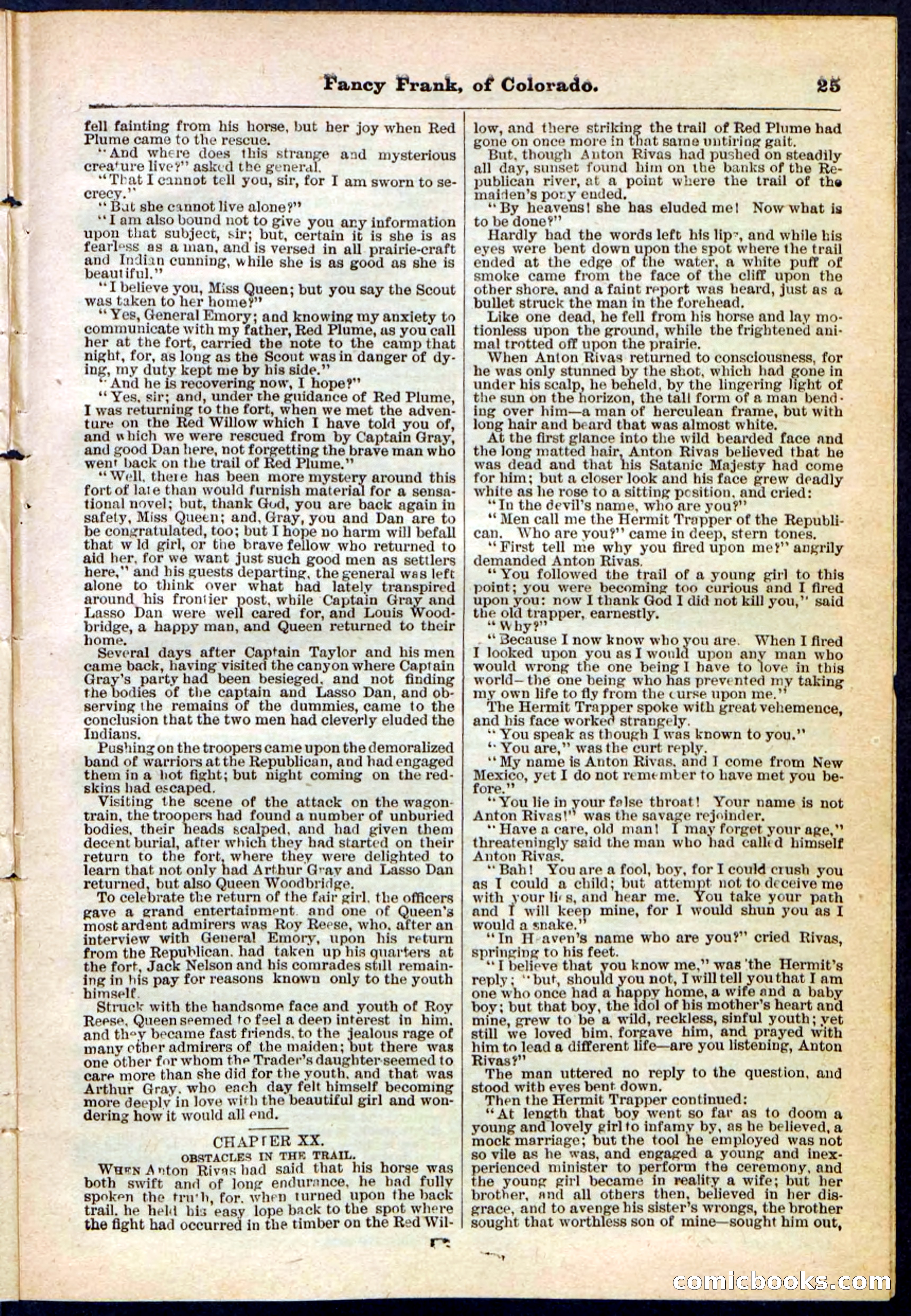 Beadle's Pocket Library No. 117 — page 25 of 32