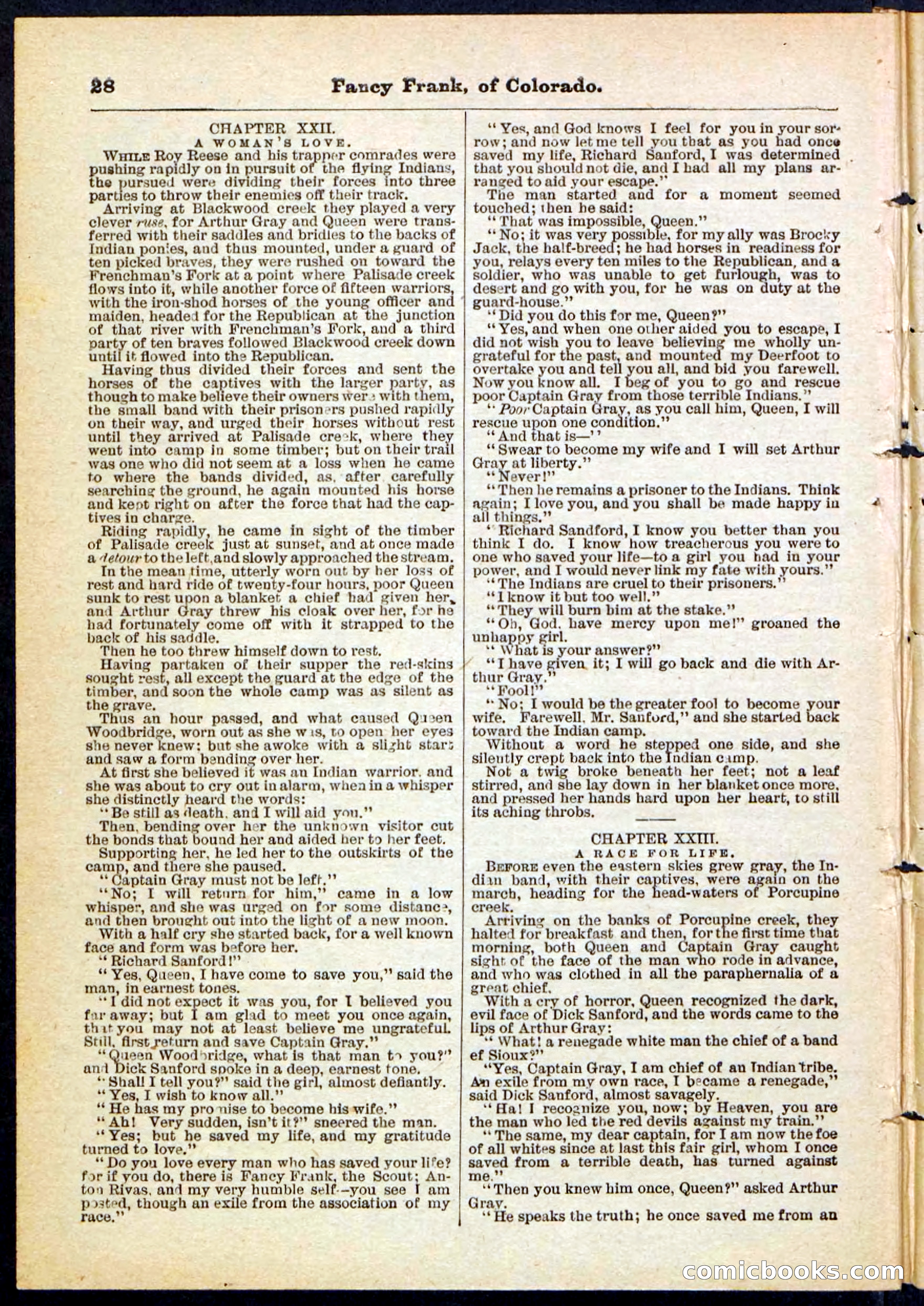 Beadle's Pocket Library No. 117 — page 28 of 32