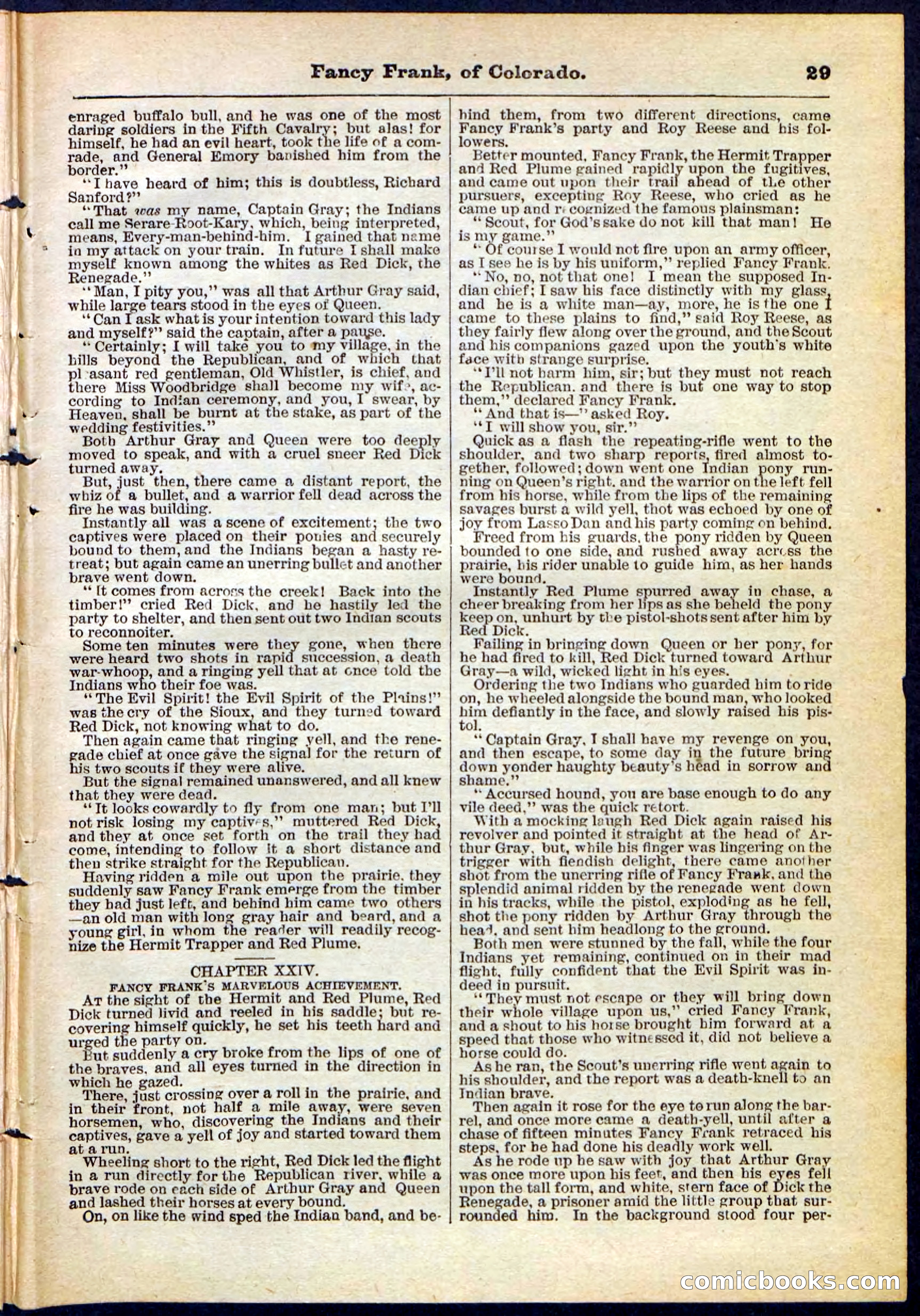 Beadle's Pocket Library No. 117 — page 29 of 32