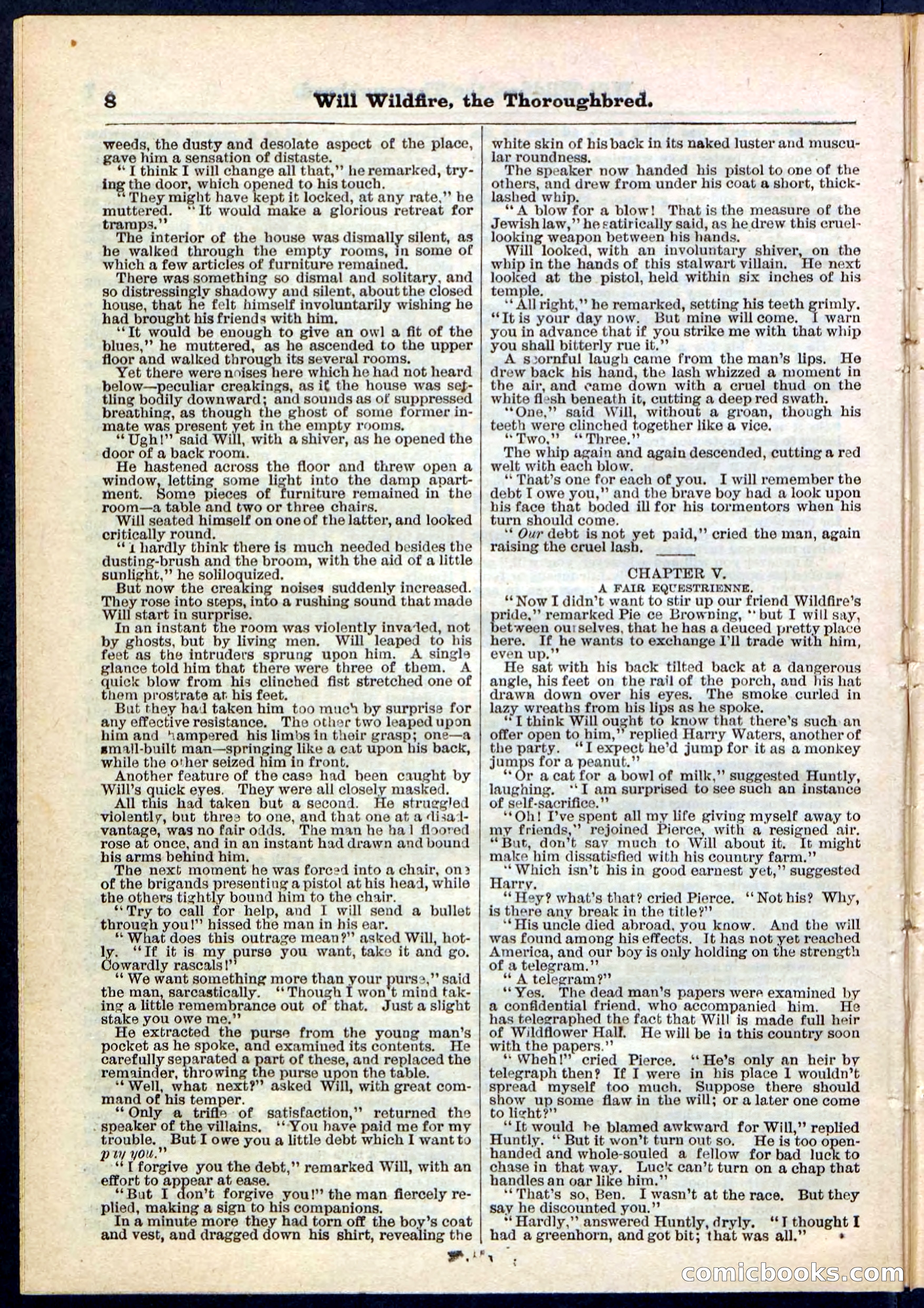 Beadle's Pocket Library No. 118 — page 8 of 32