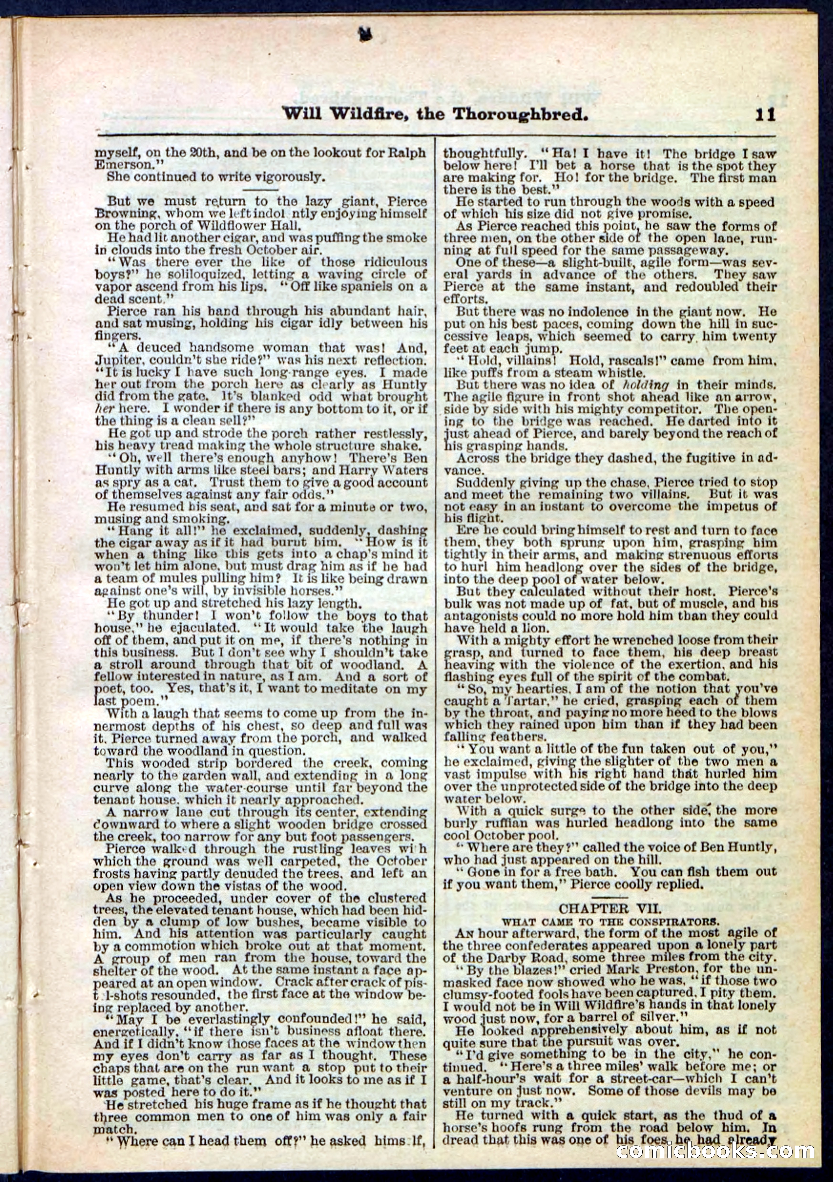 Beadle's Pocket Library No. 118 — page 11 of 32
