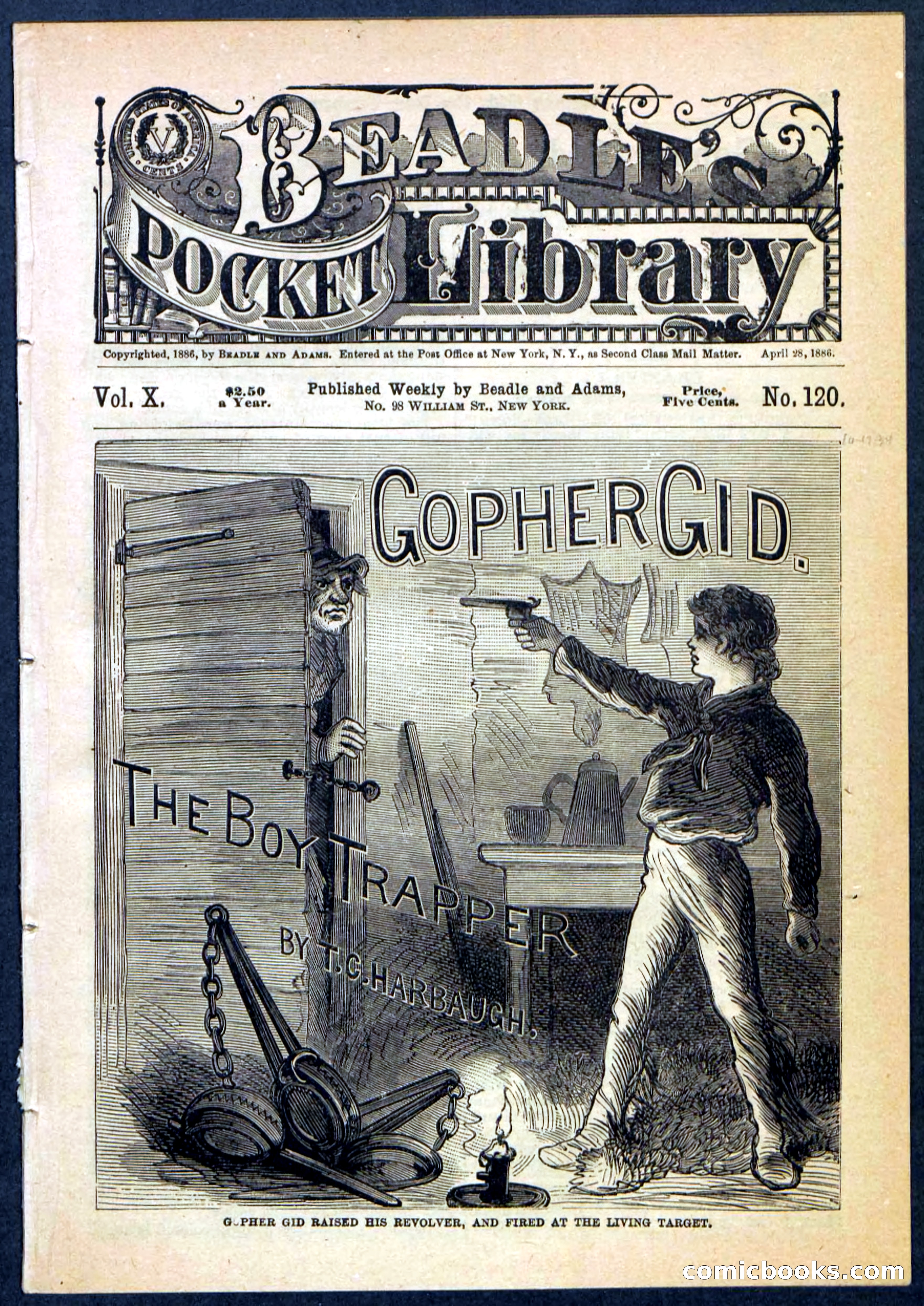 Beadle's Pocket Library No. 120 — page 1 of 32
