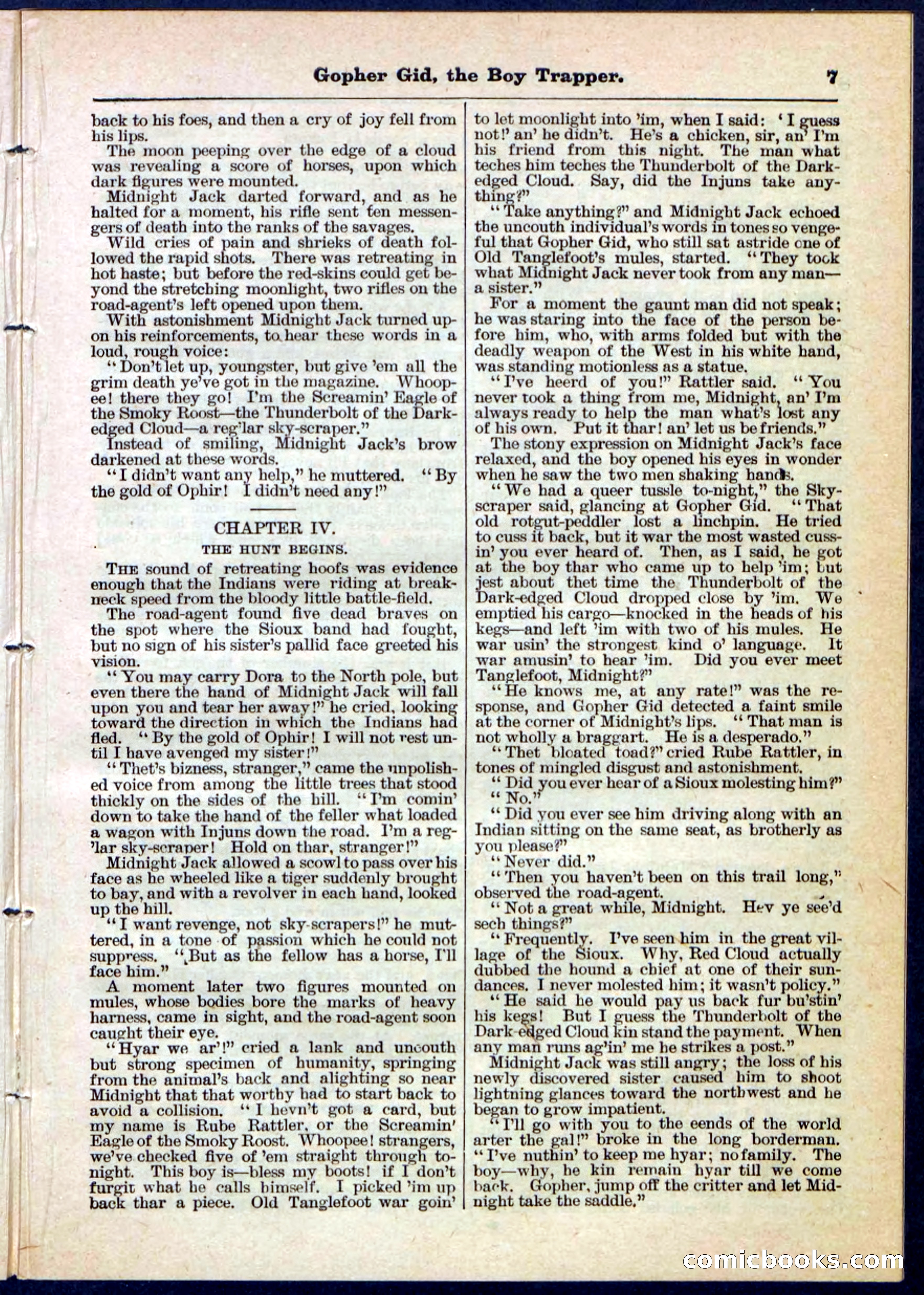 Beadle's Pocket Library No. 120 — page 7 of 32
