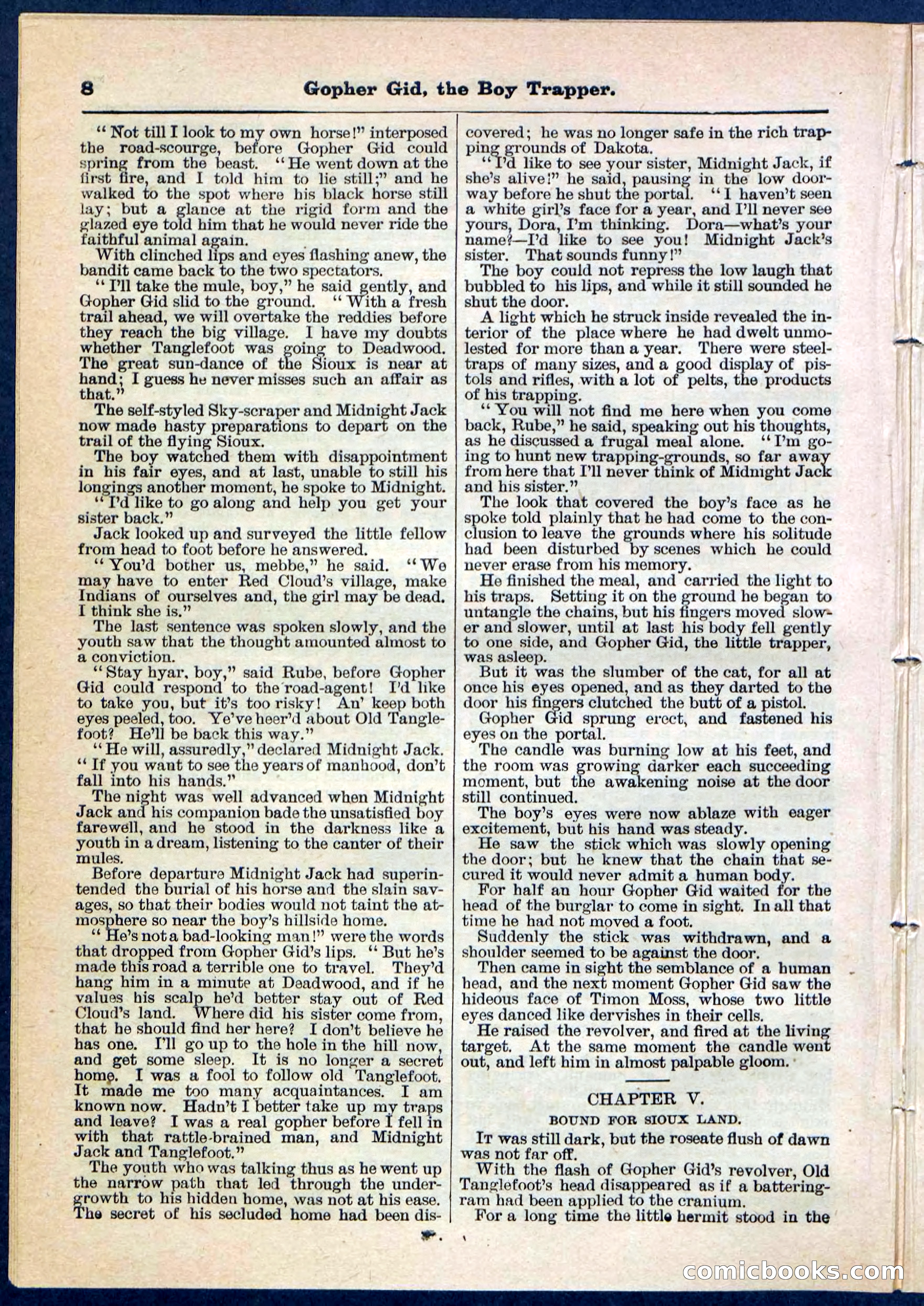 Beadle's Pocket Library No. 120 — page 8 of 32