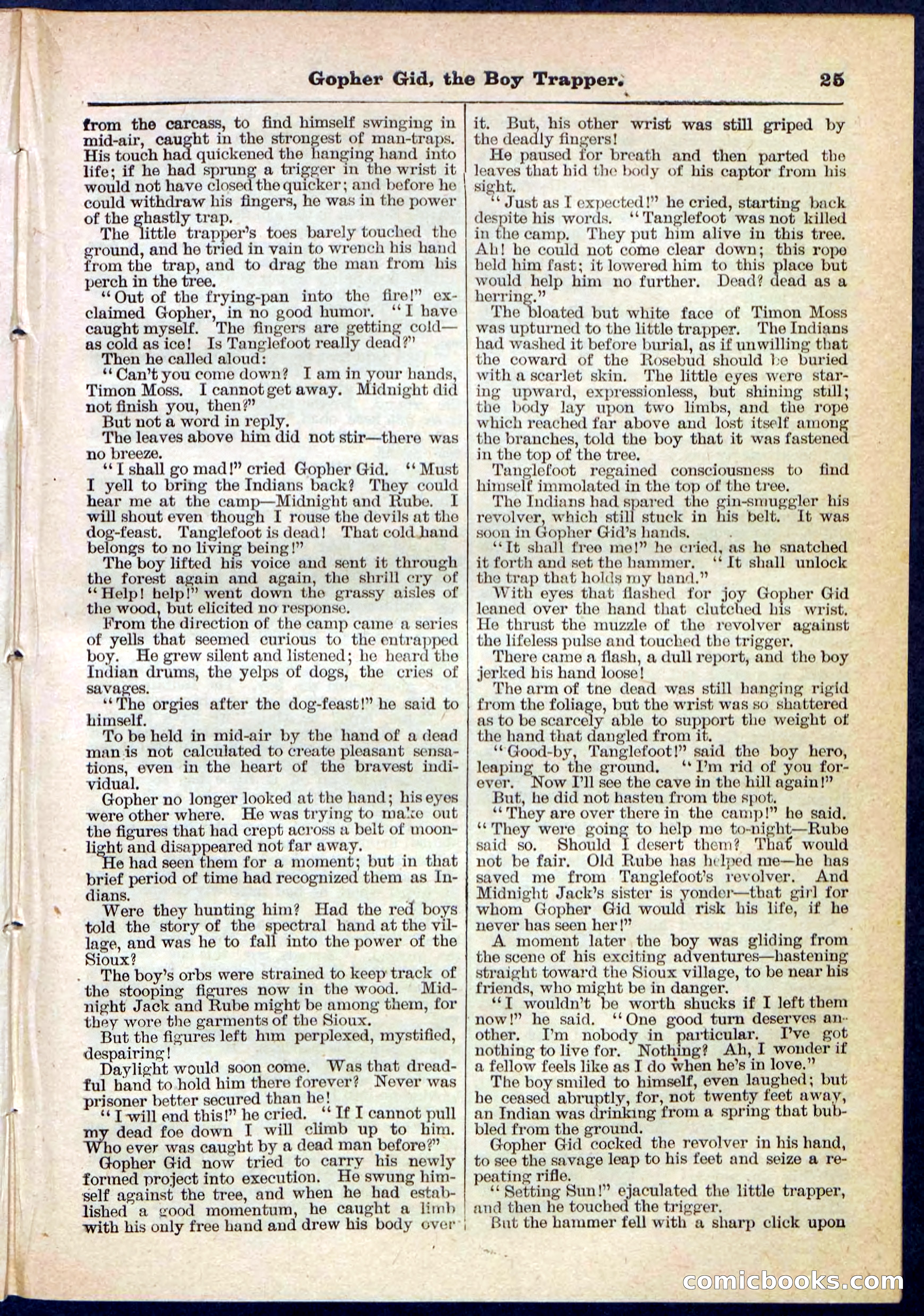 Beadle's Pocket Library No. 120 — page 25 of 32