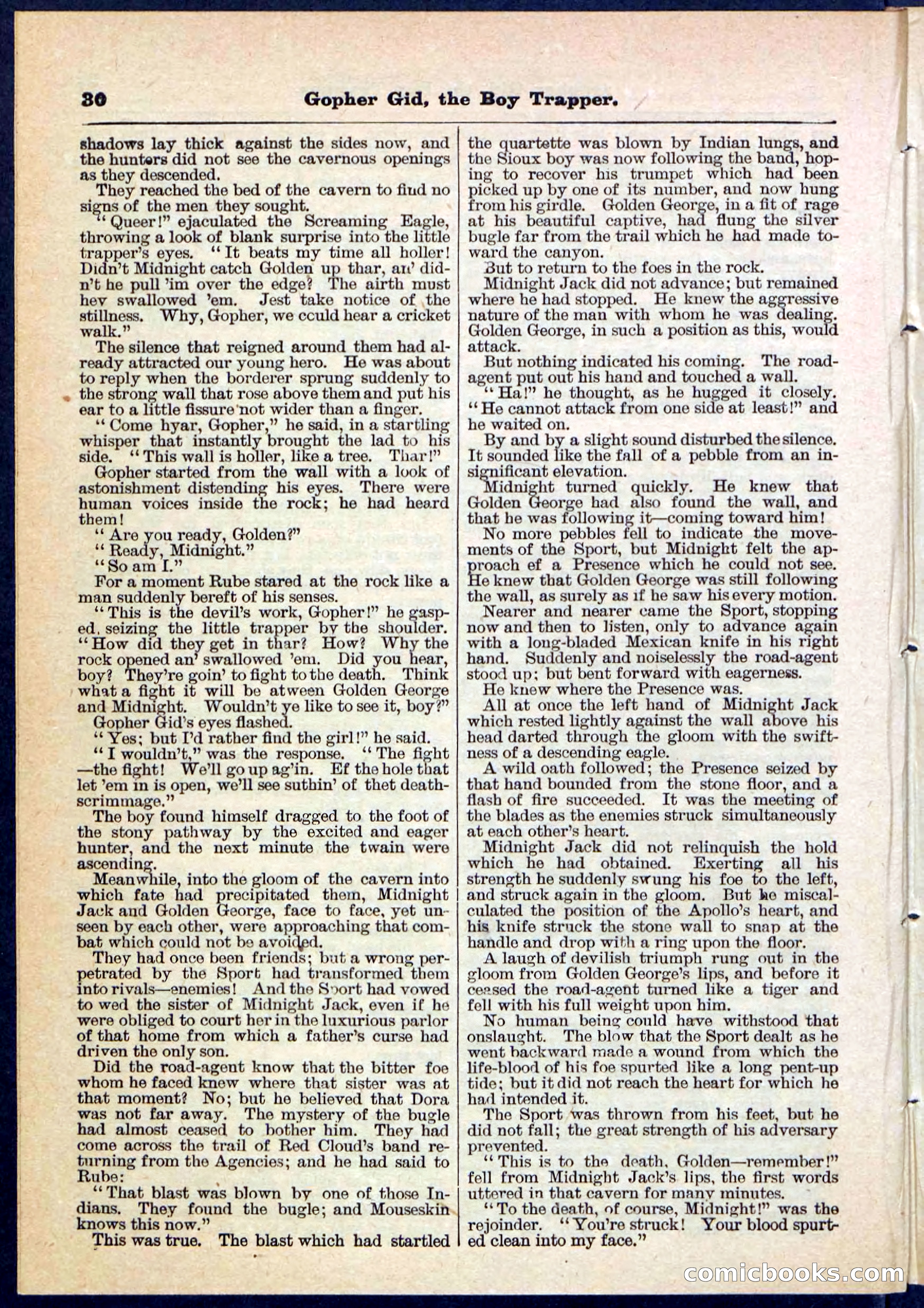 Beadle's Pocket Library No. 120 — page 30 of 32