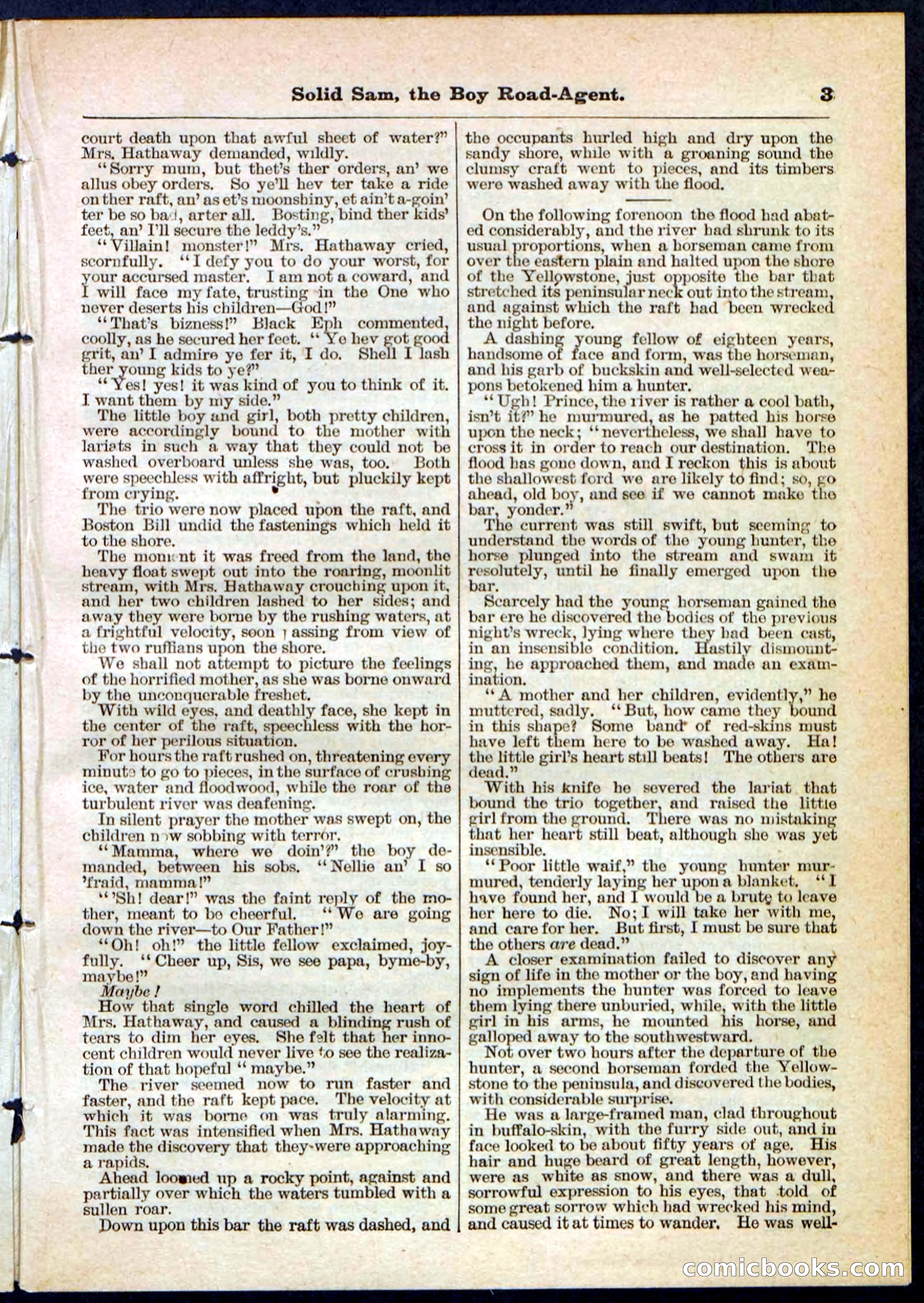 Beadle's Pocket Library No. 123 — page 3 of 32