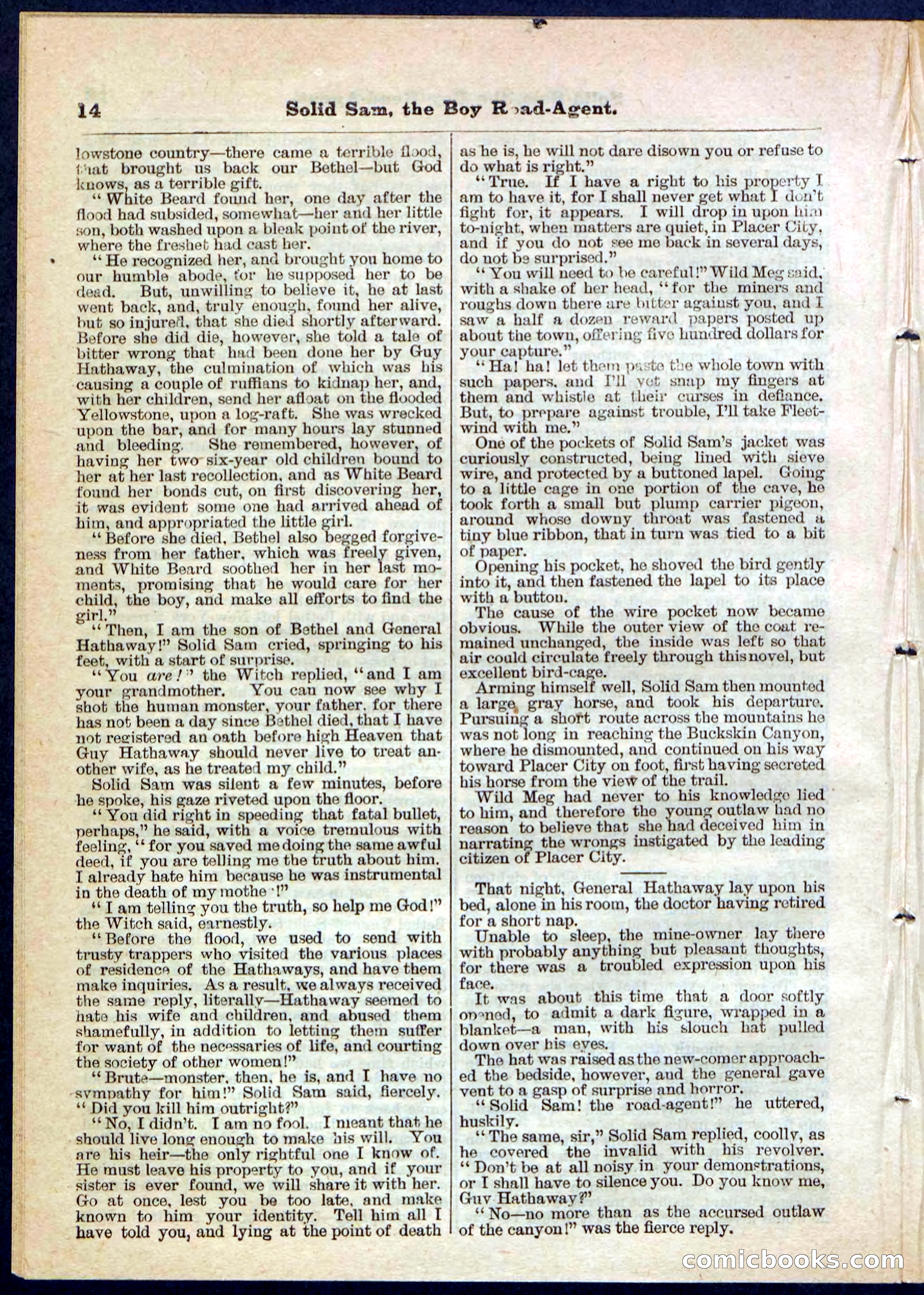 Beadle's Pocket Library No. 123 — page 14 of 32