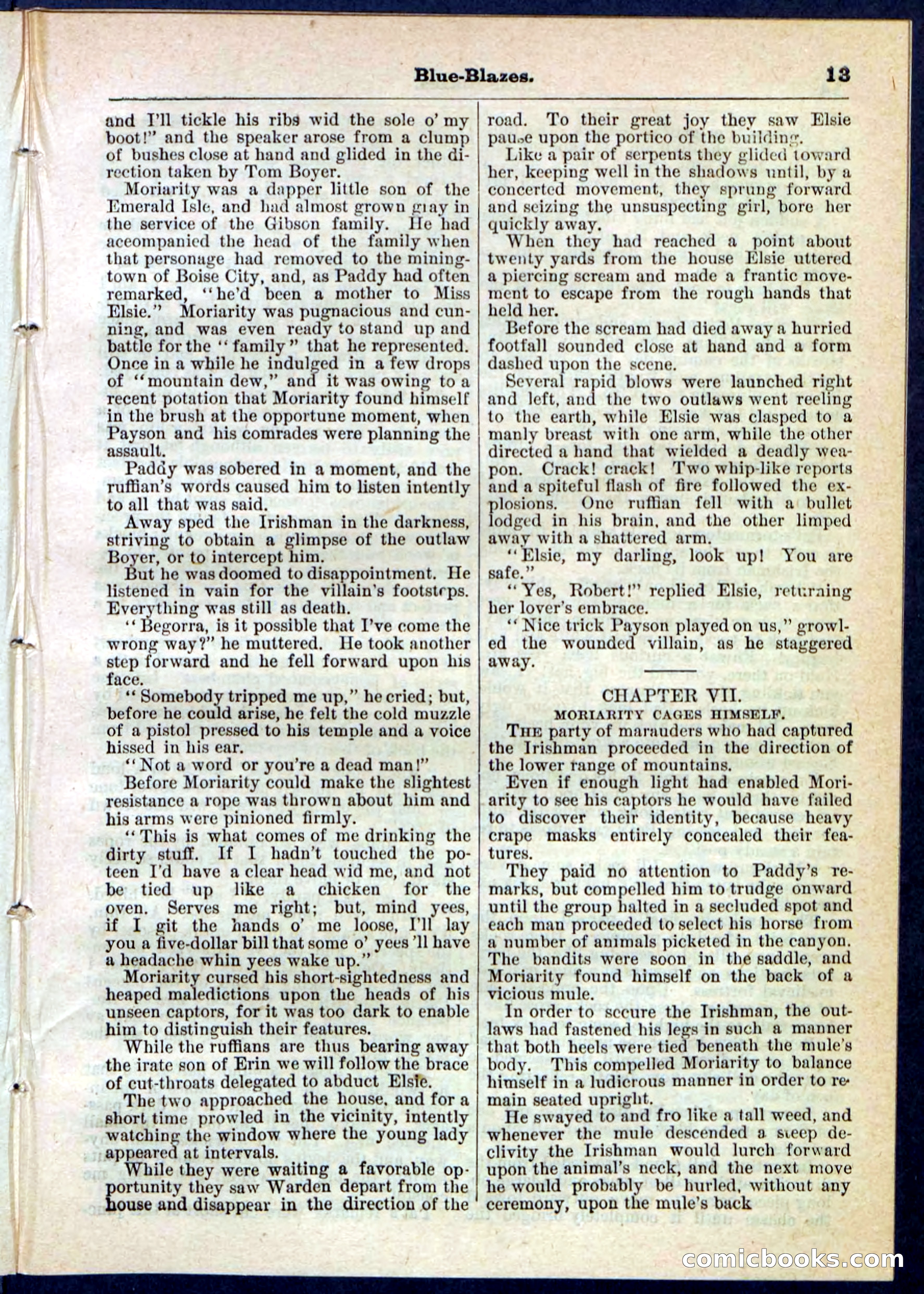 Beadle's Pocket Library No. 126 — page 13 of 32