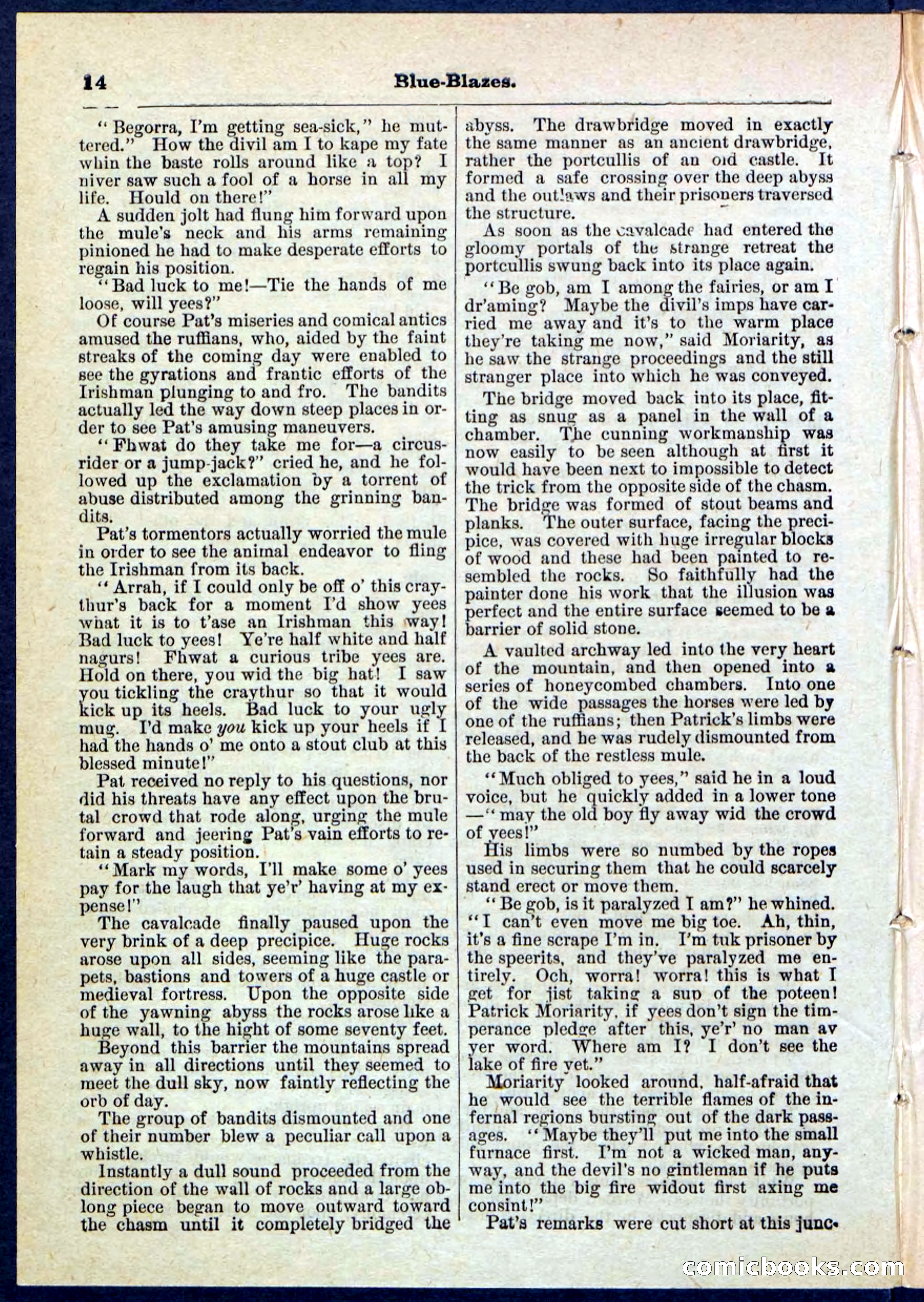 Beadle's Pocket Library No. 126 — page 14 of 32