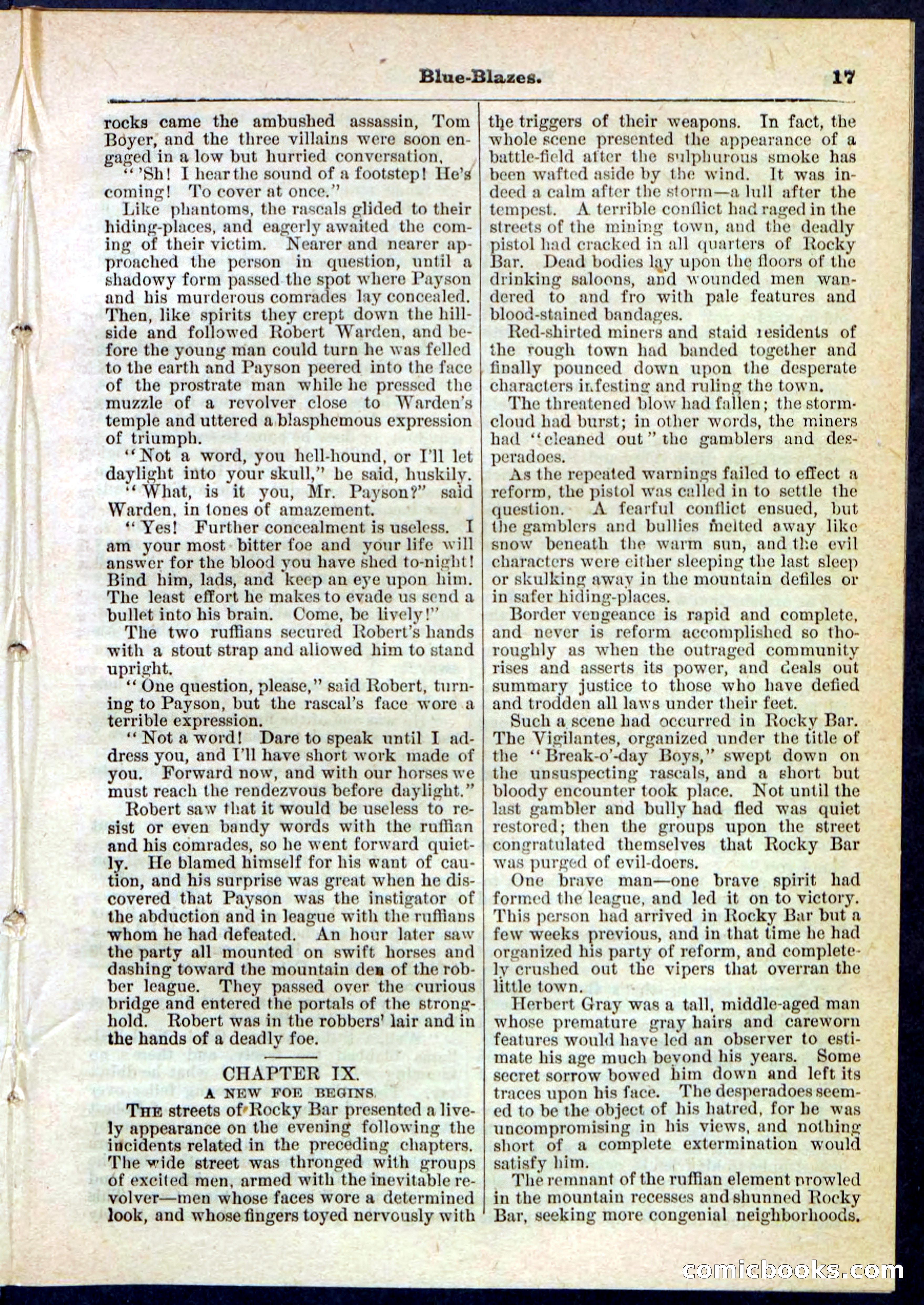 Beadle's Pocket Library No. 126 — page 17 of 32