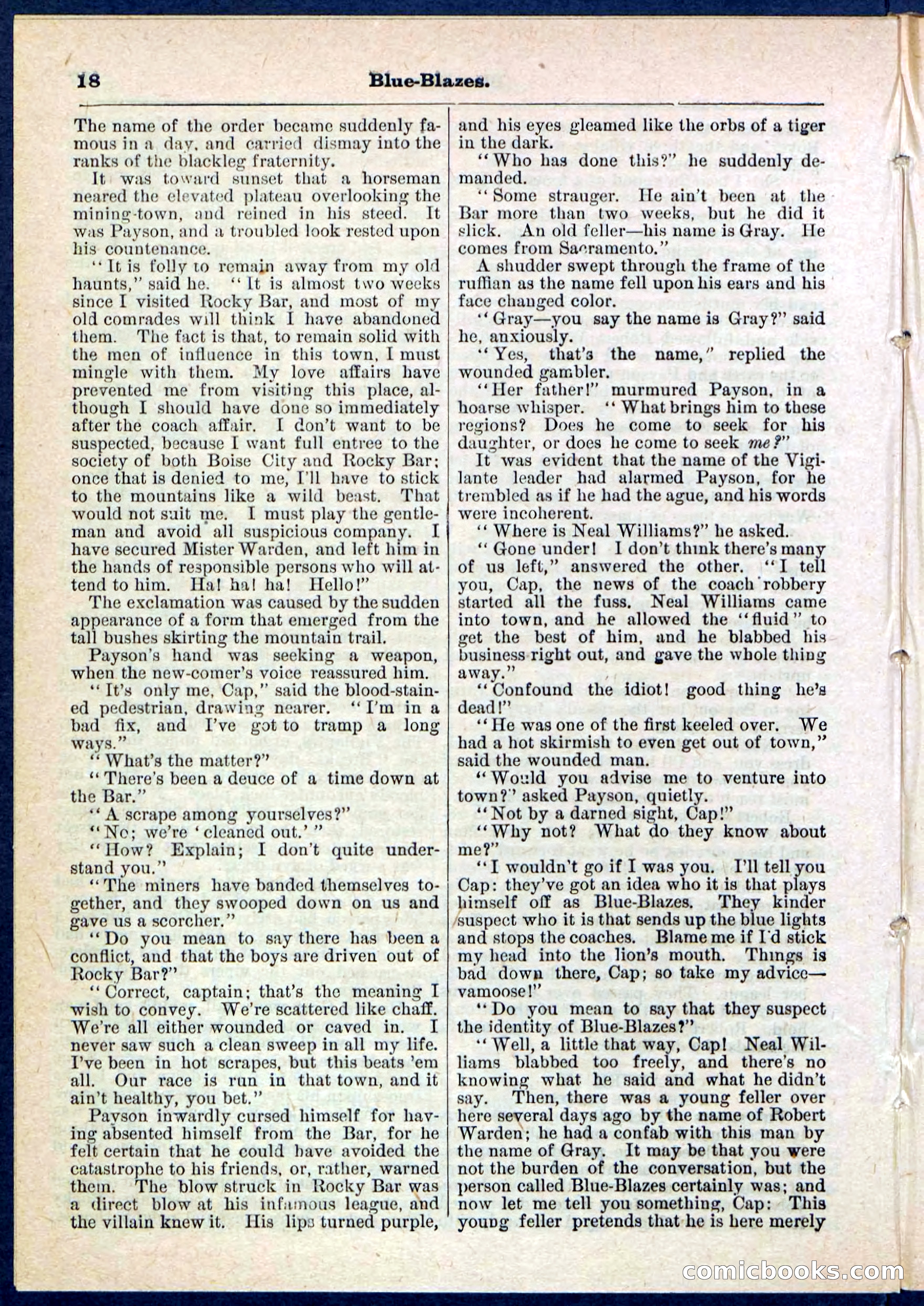 Beadle's Pocket Library No. 126 — page 18 of 32