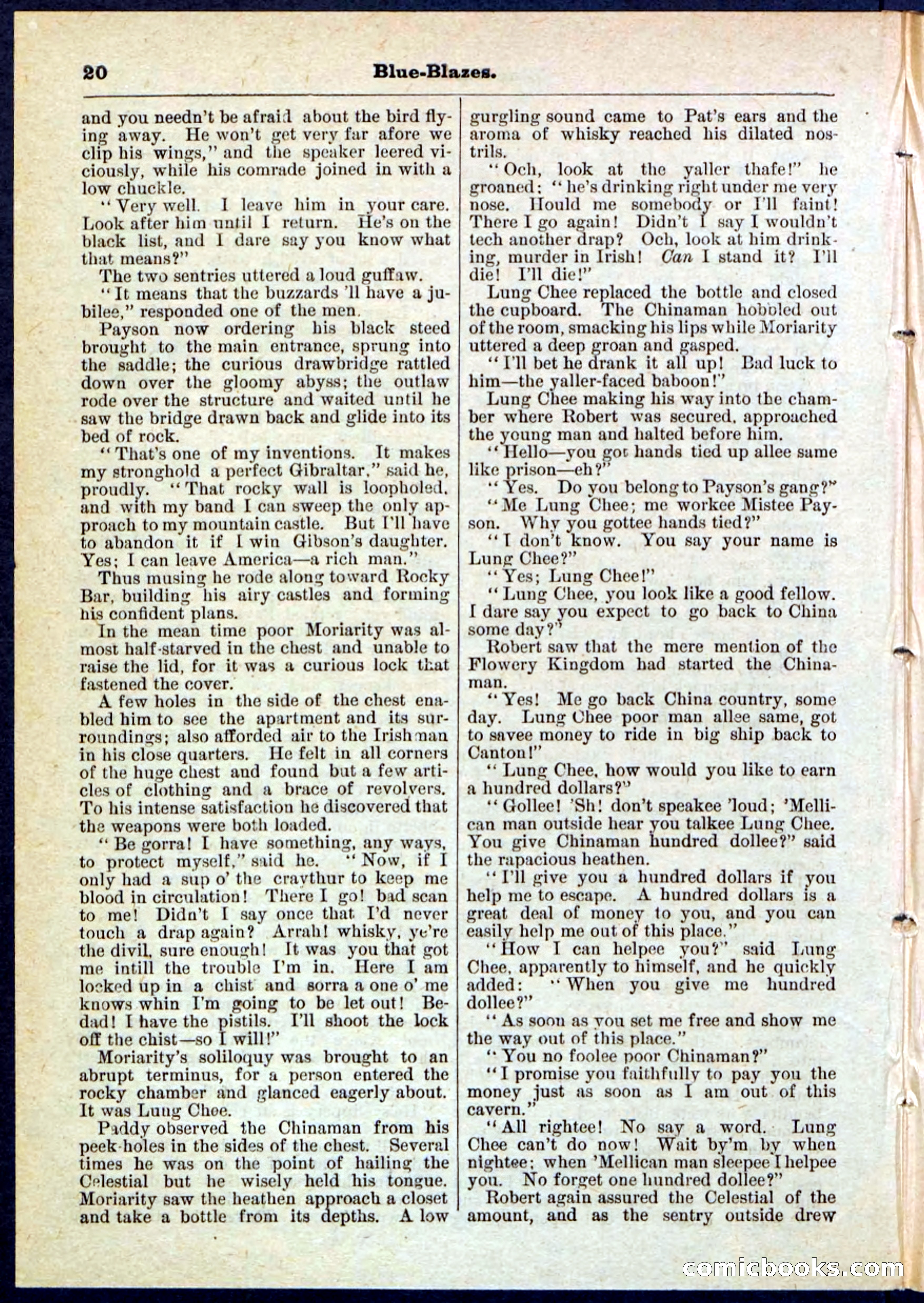 Beadle's Pocket Library No. 126 — page 20 of 32