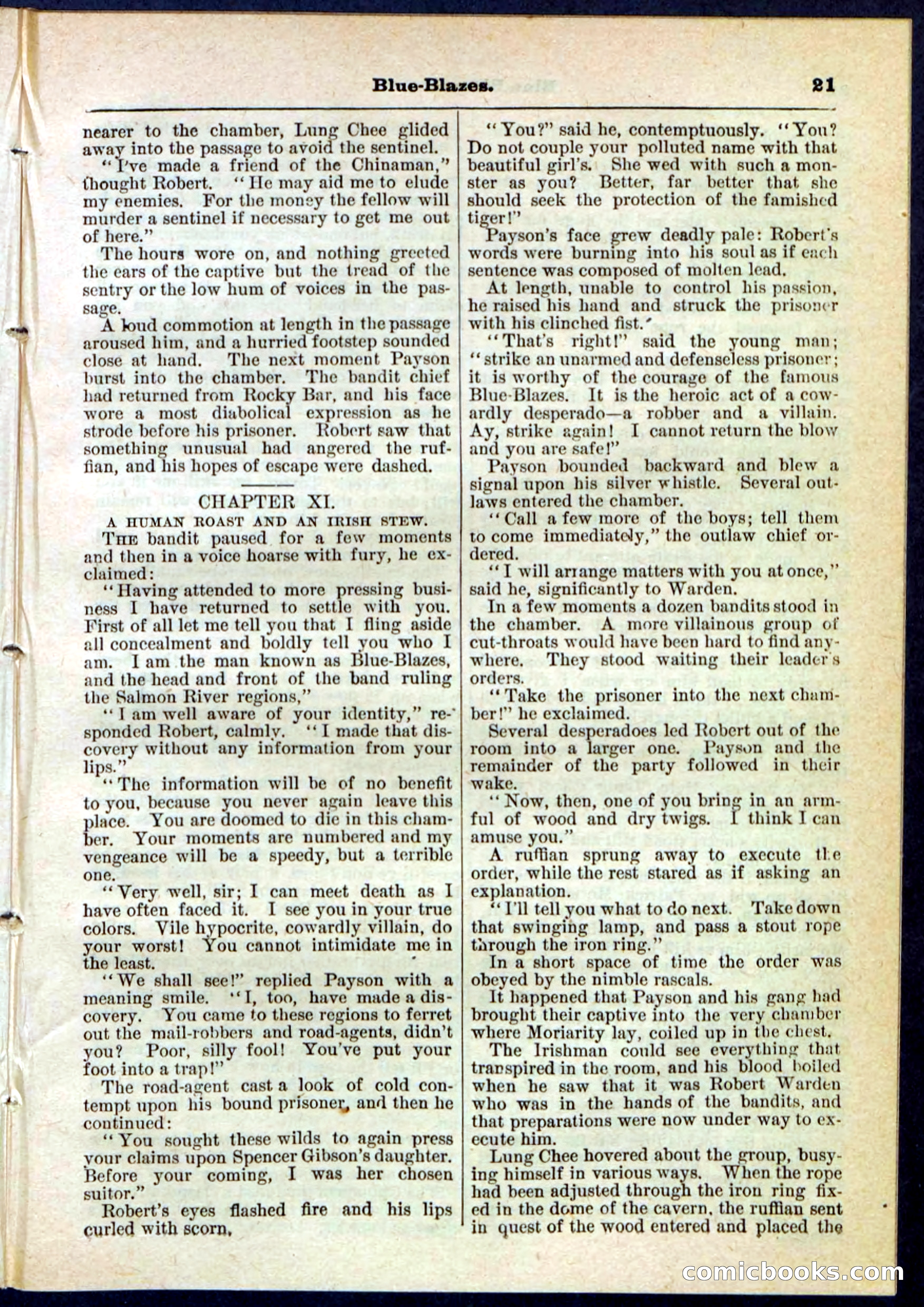 Beadle's Pocket Library No. 126 — page 21 of 32