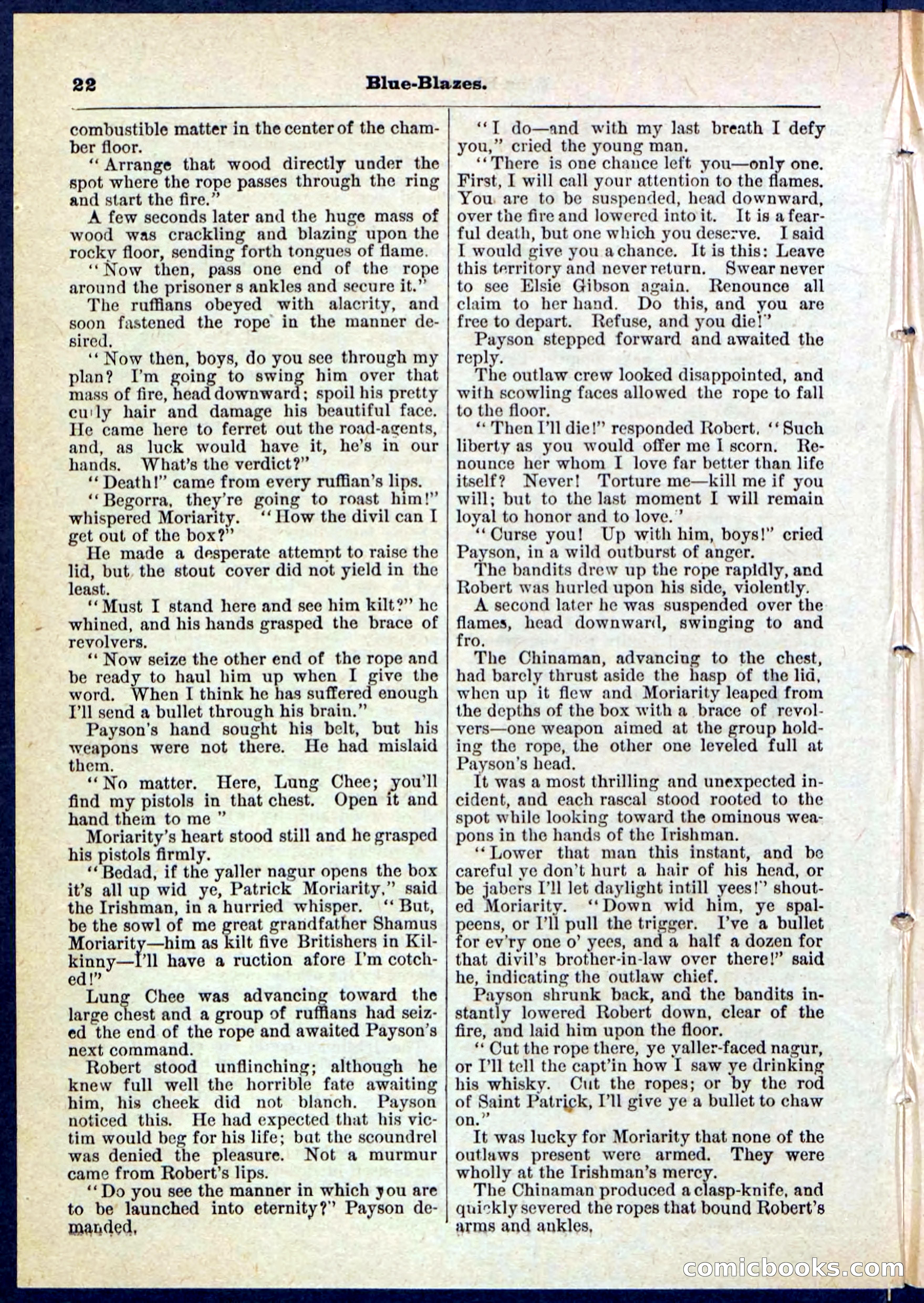 Beadle's Pocket Library No. 126 — page 22 of 32