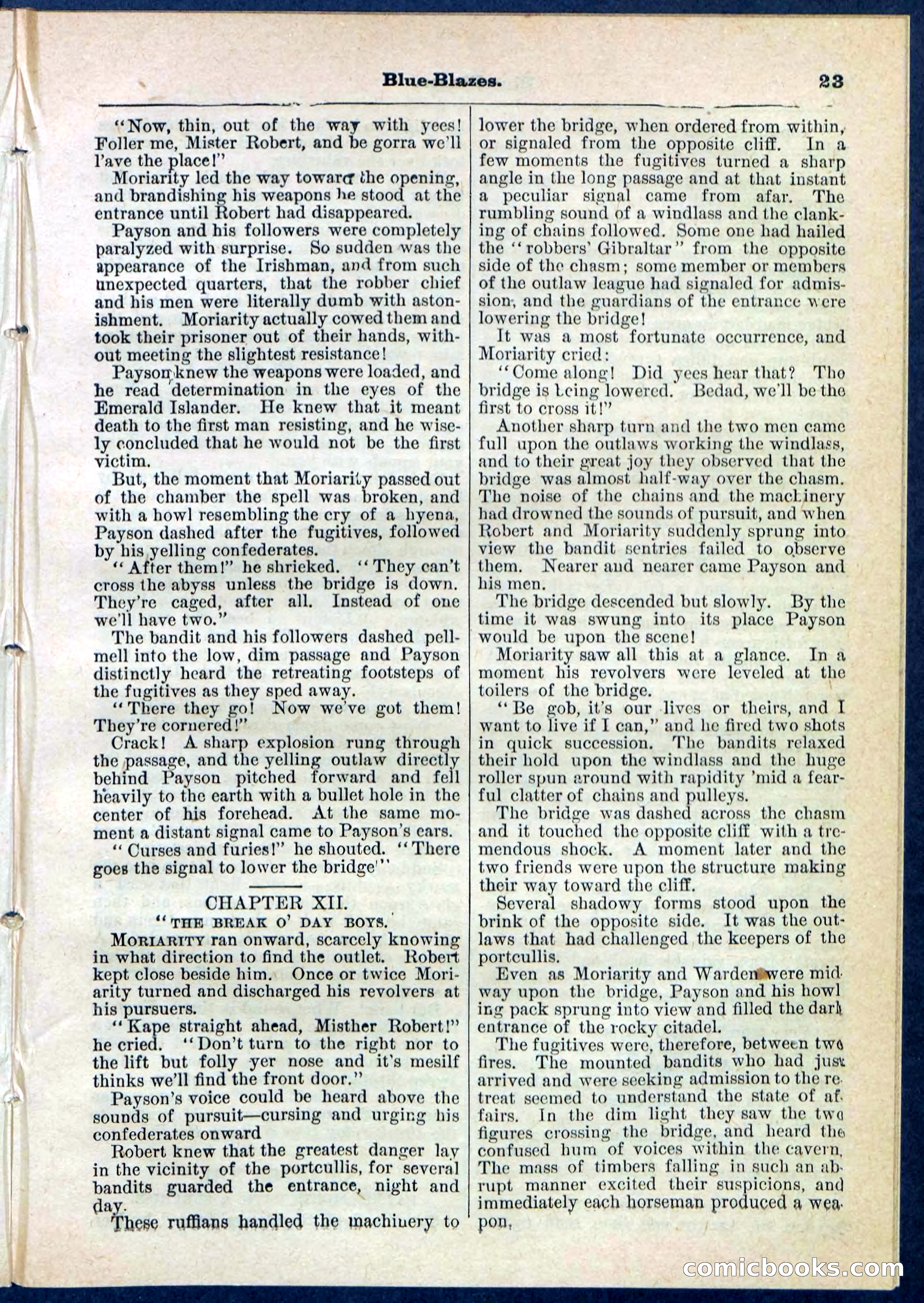 Beadle's Pocket Library No. 126 — page 23 of 32