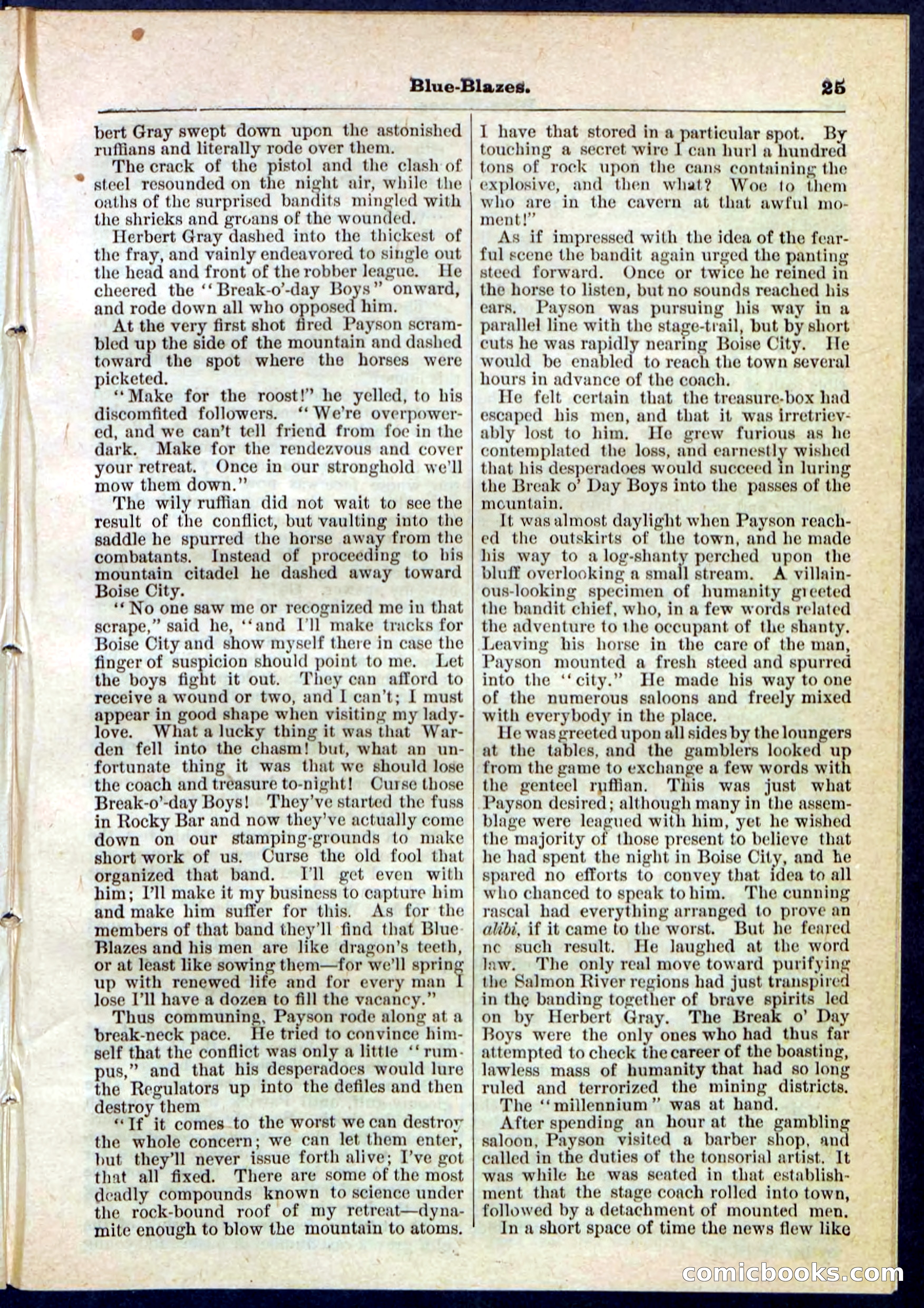 Beadle's Pocket Library No. 126 — page 25 of 32