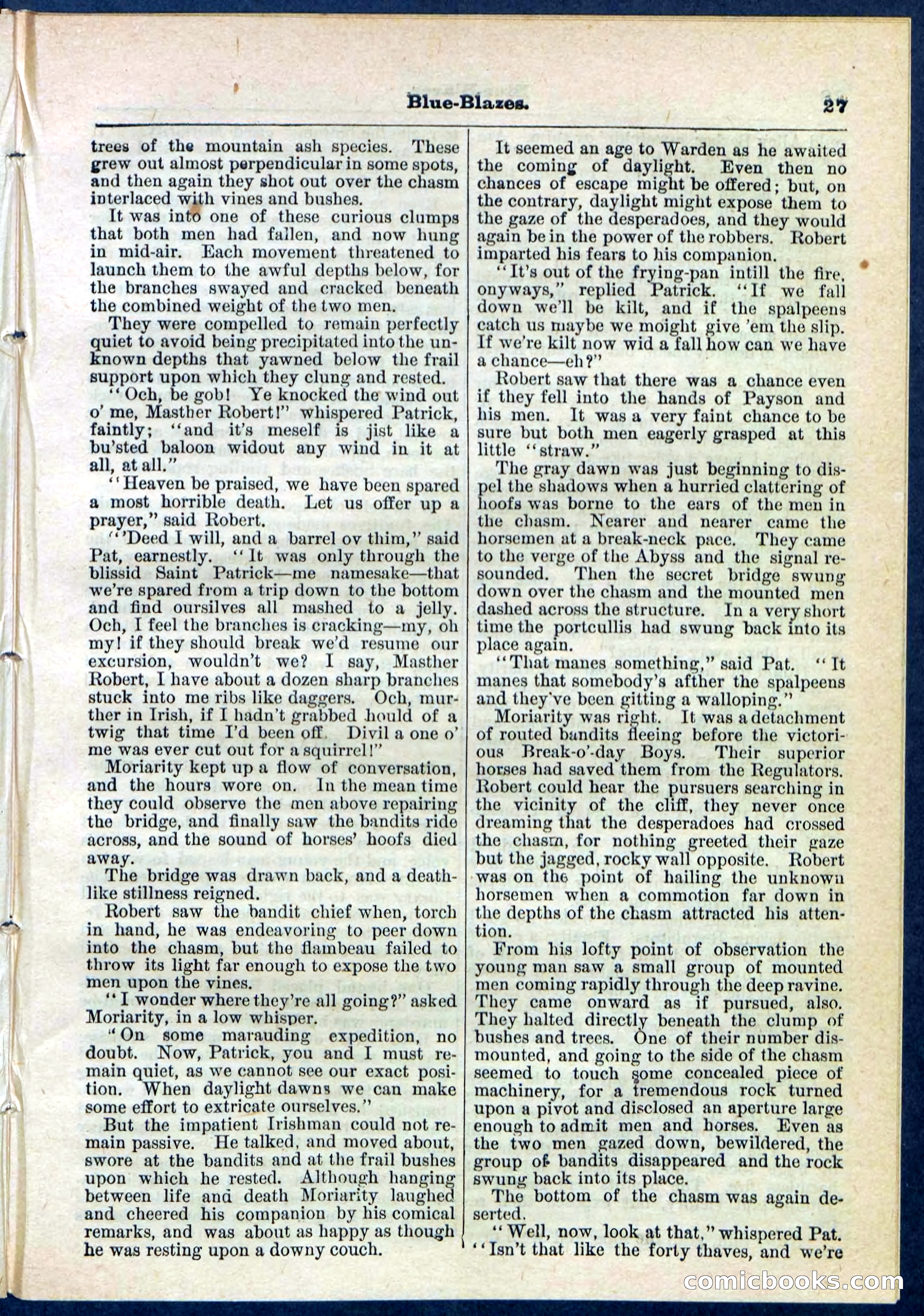 Beadle's Pocket Library No. 126 — page 27 of 32