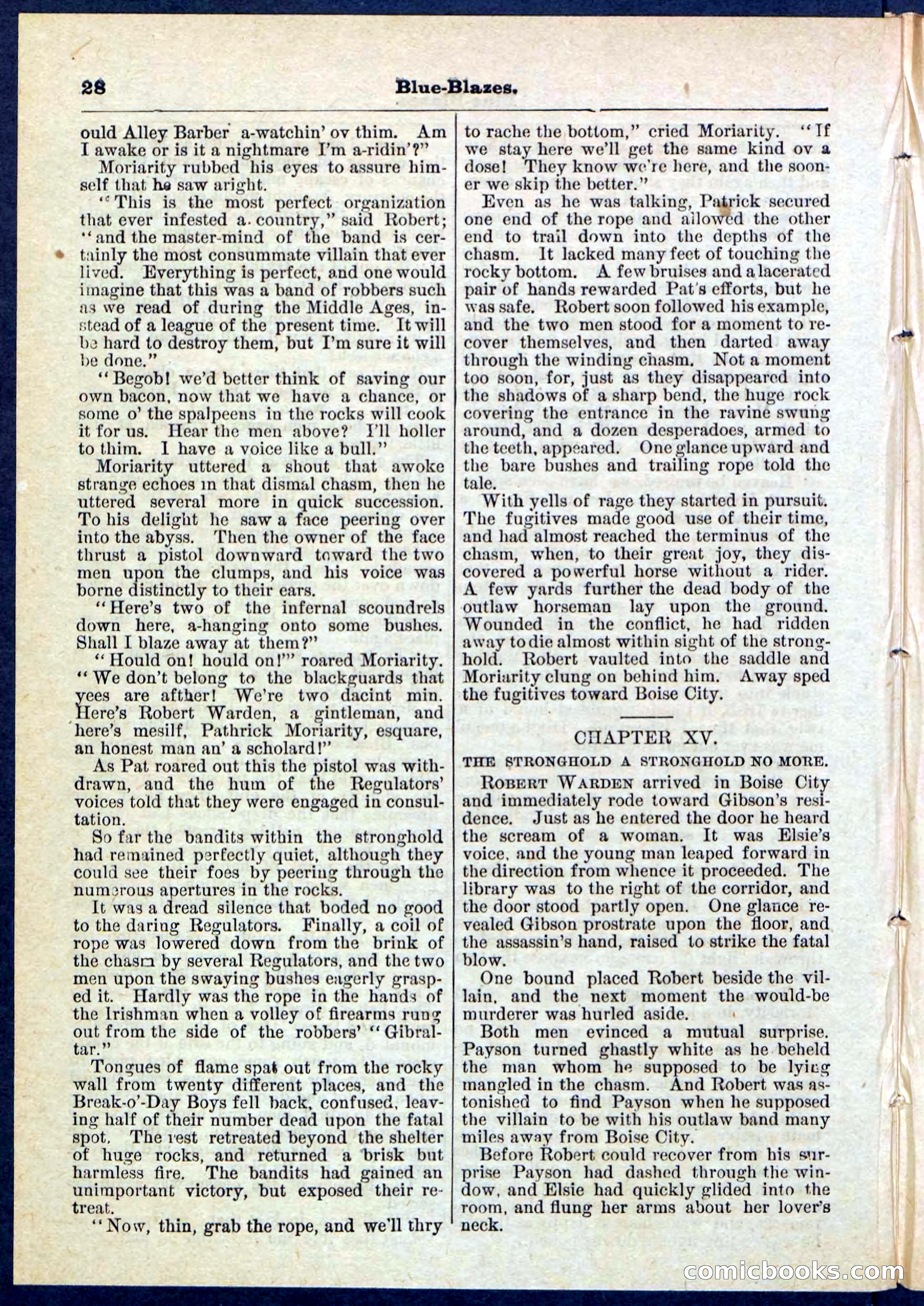 Beadle's Pocket Library No. 126 — page 28 of 32