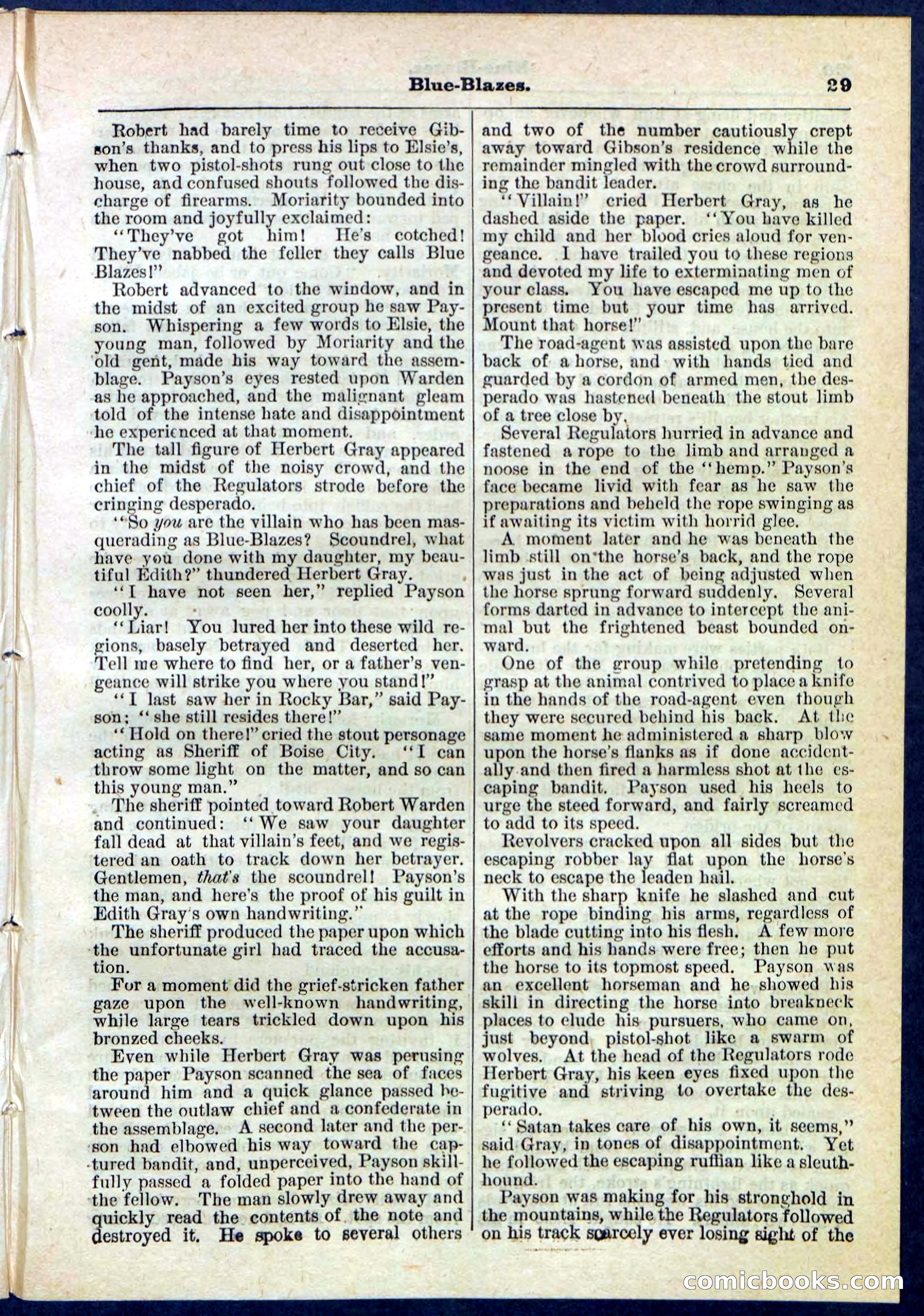Beadle's Pocket Library No. 126 — page 29 of 32