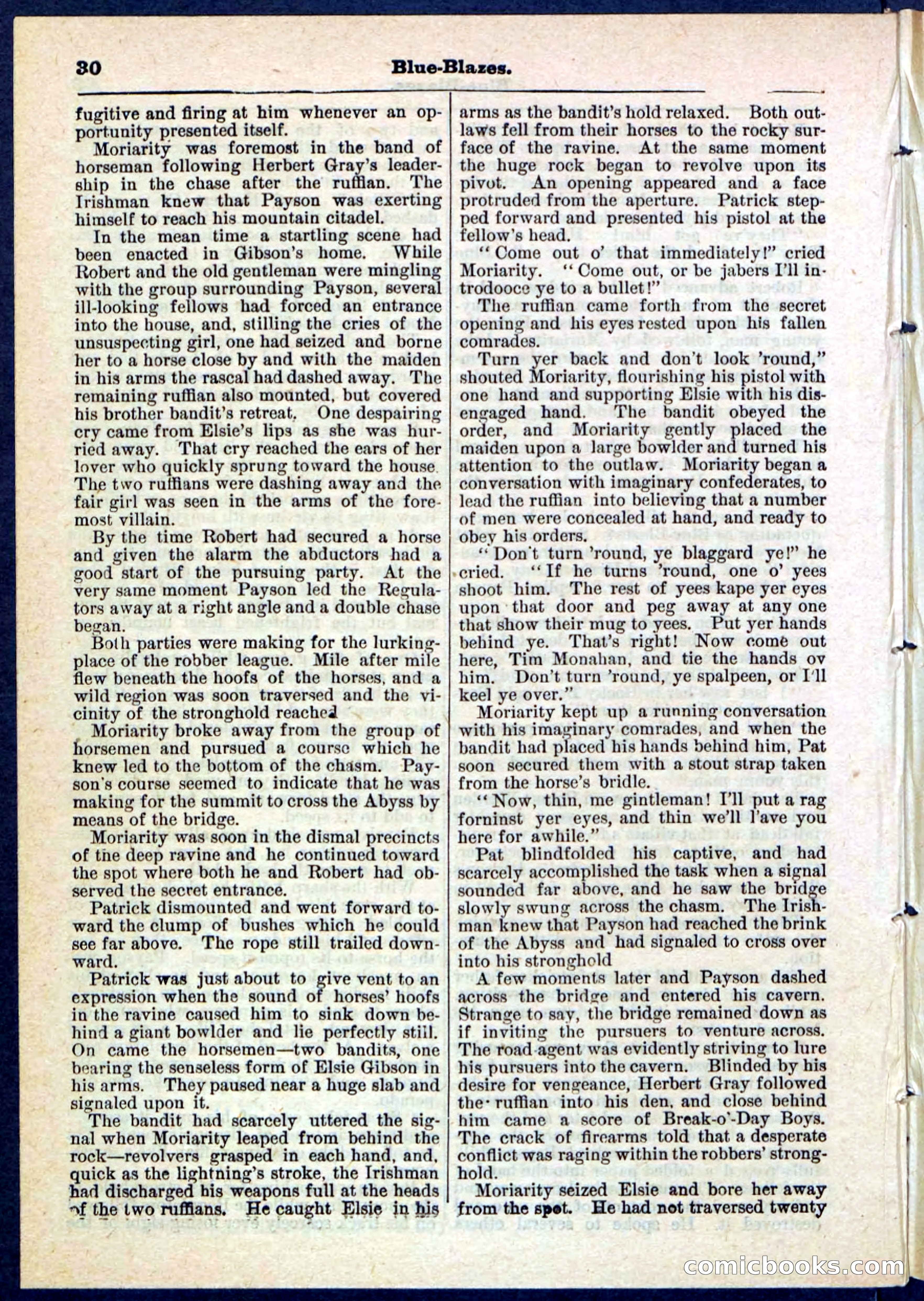 Beadle's Pocket Library No. 126 — page 30 of 32