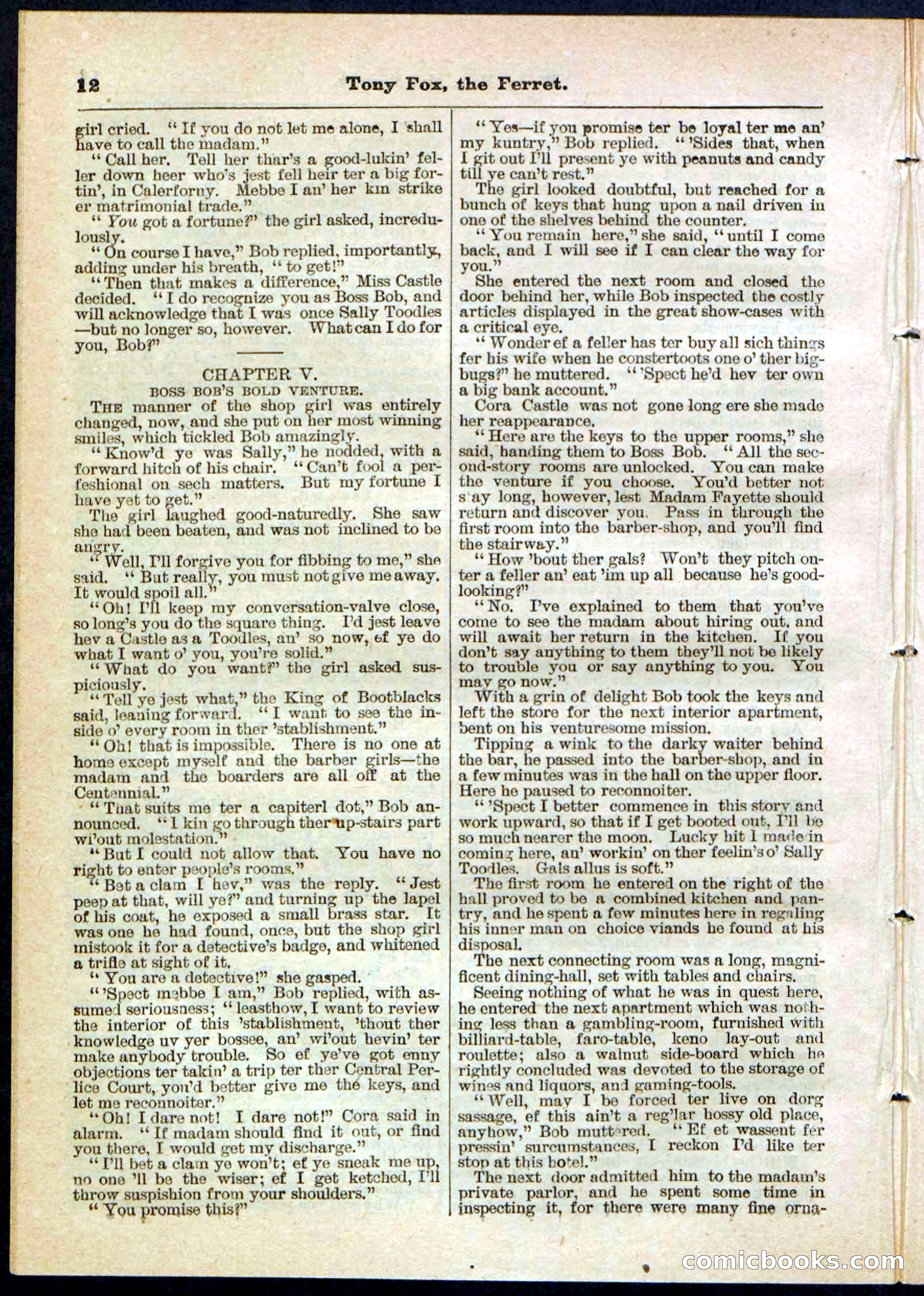 Beadle's Pocket Library No. 127 — page 12 of 32