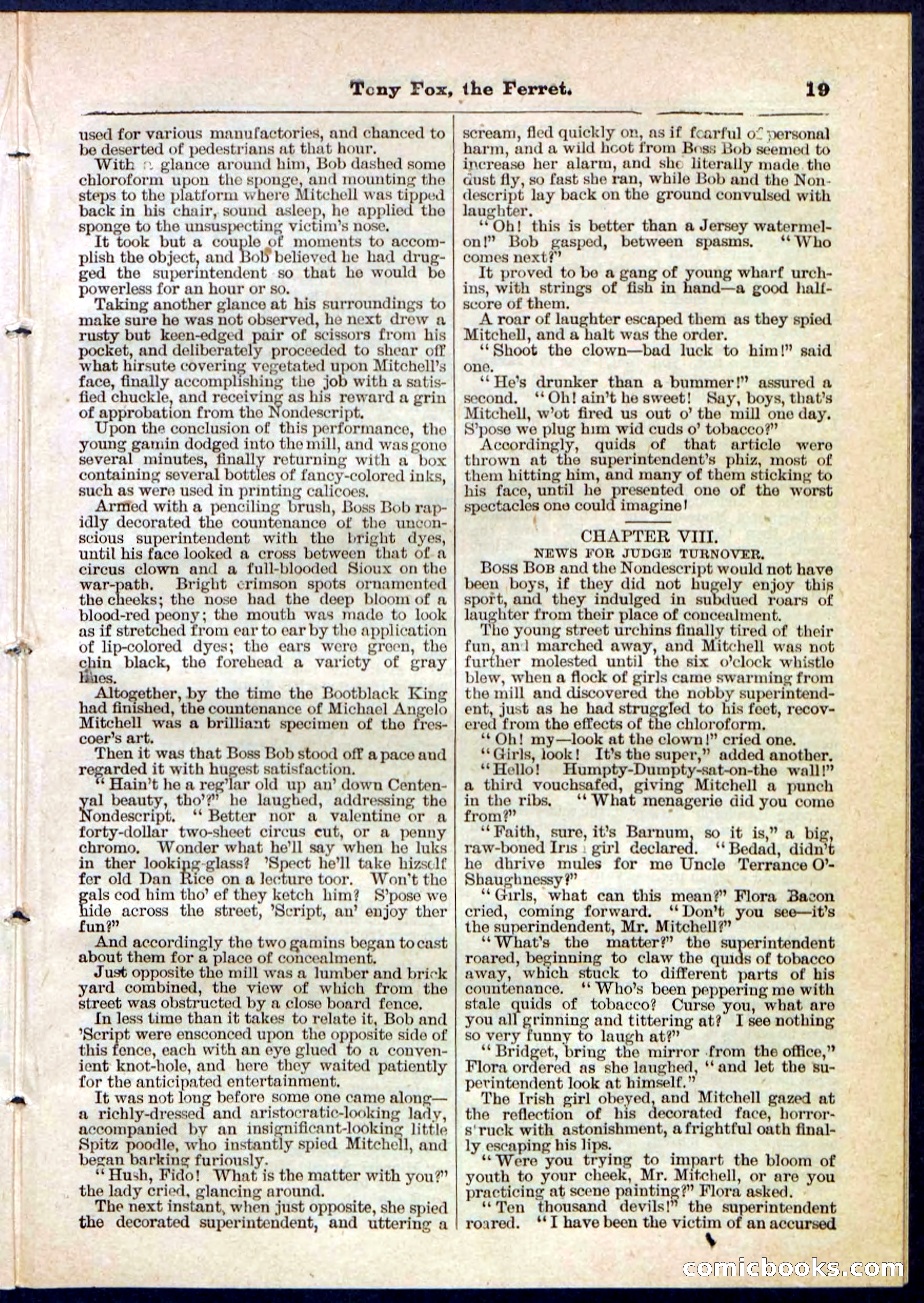 Beadle's Pocket Library No. 127 — page 19 of 32