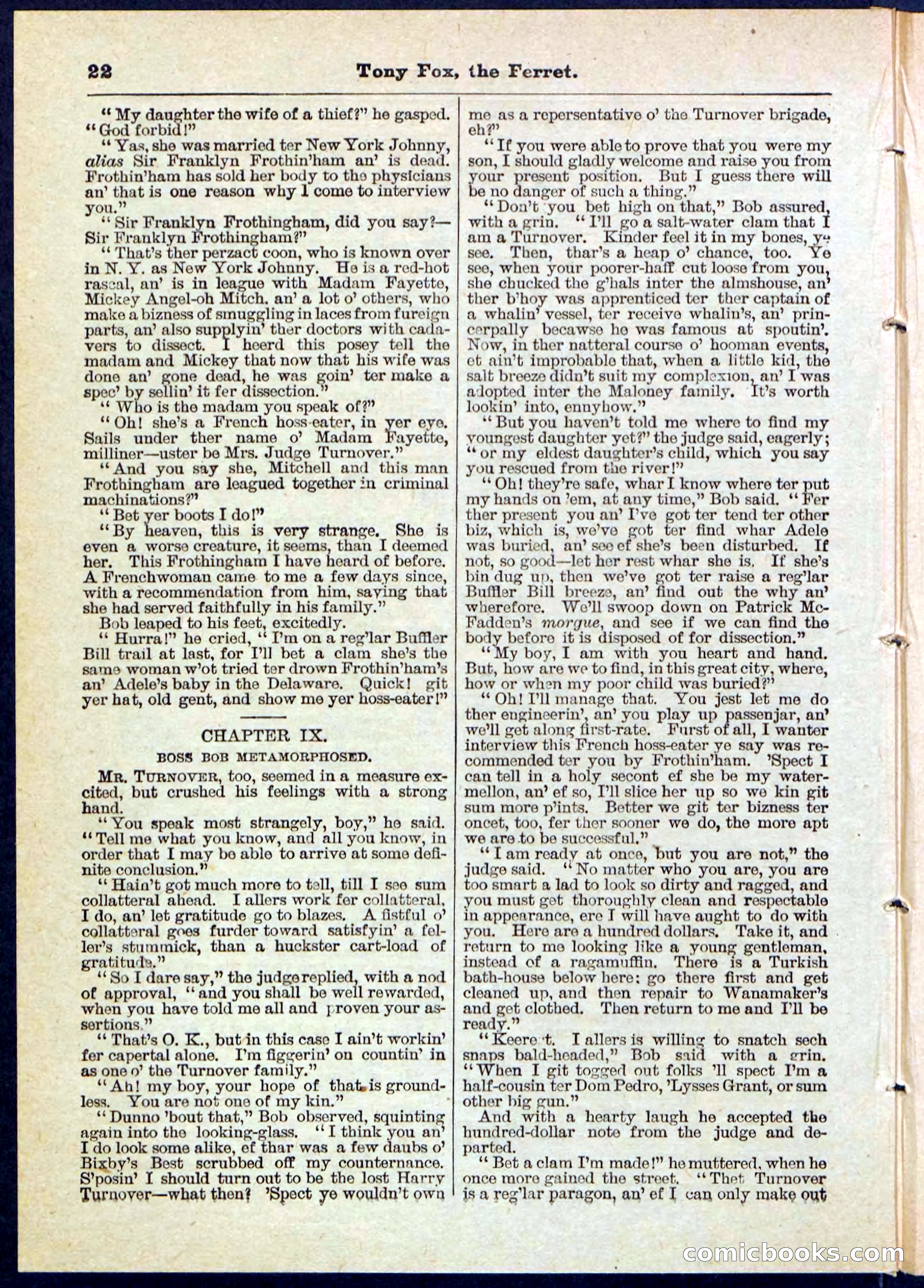 Beadle's Pocket Library No. 127 — page 22 of 32