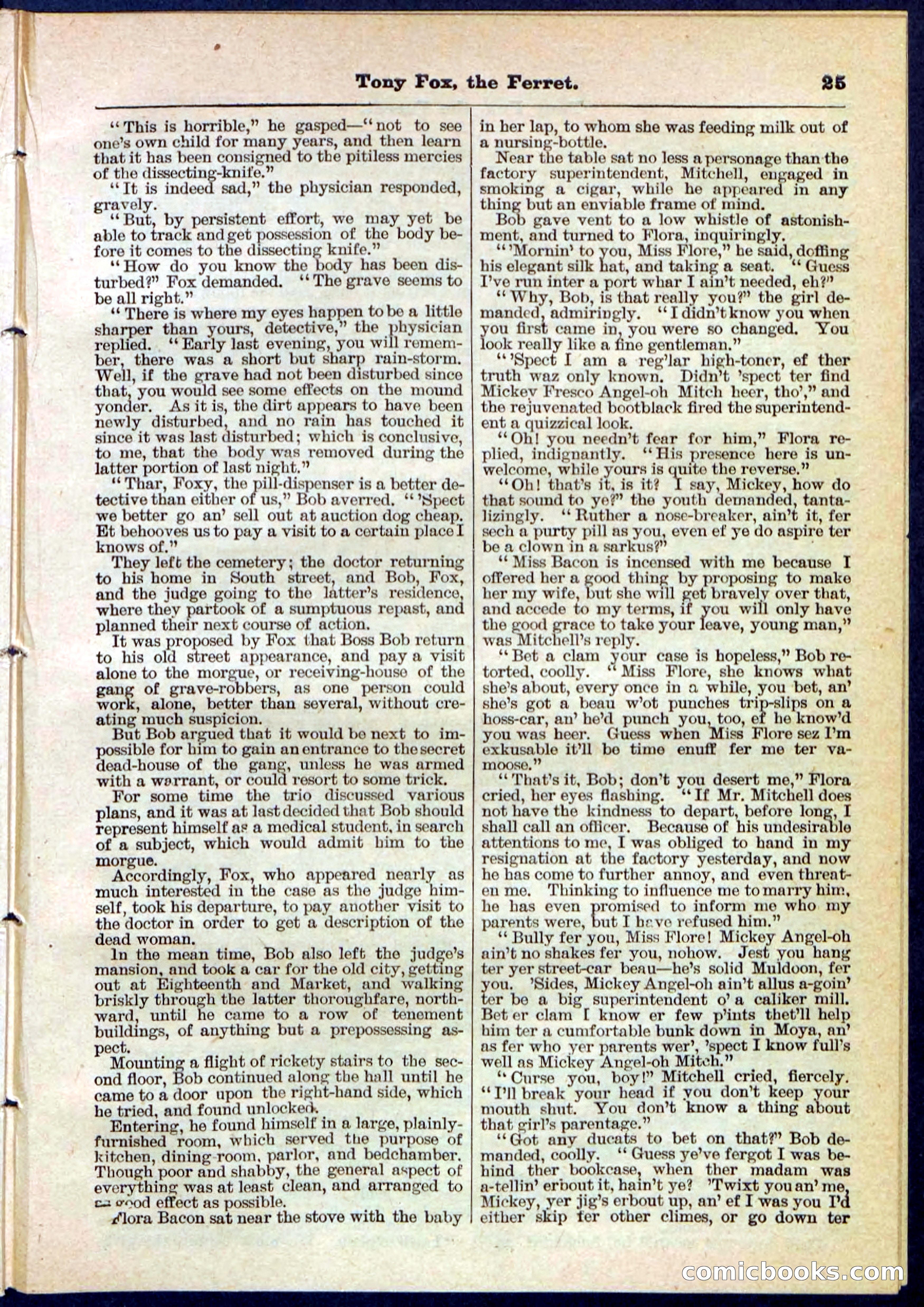 Beadle's Pocket Library No. 127 — page 25 of 32