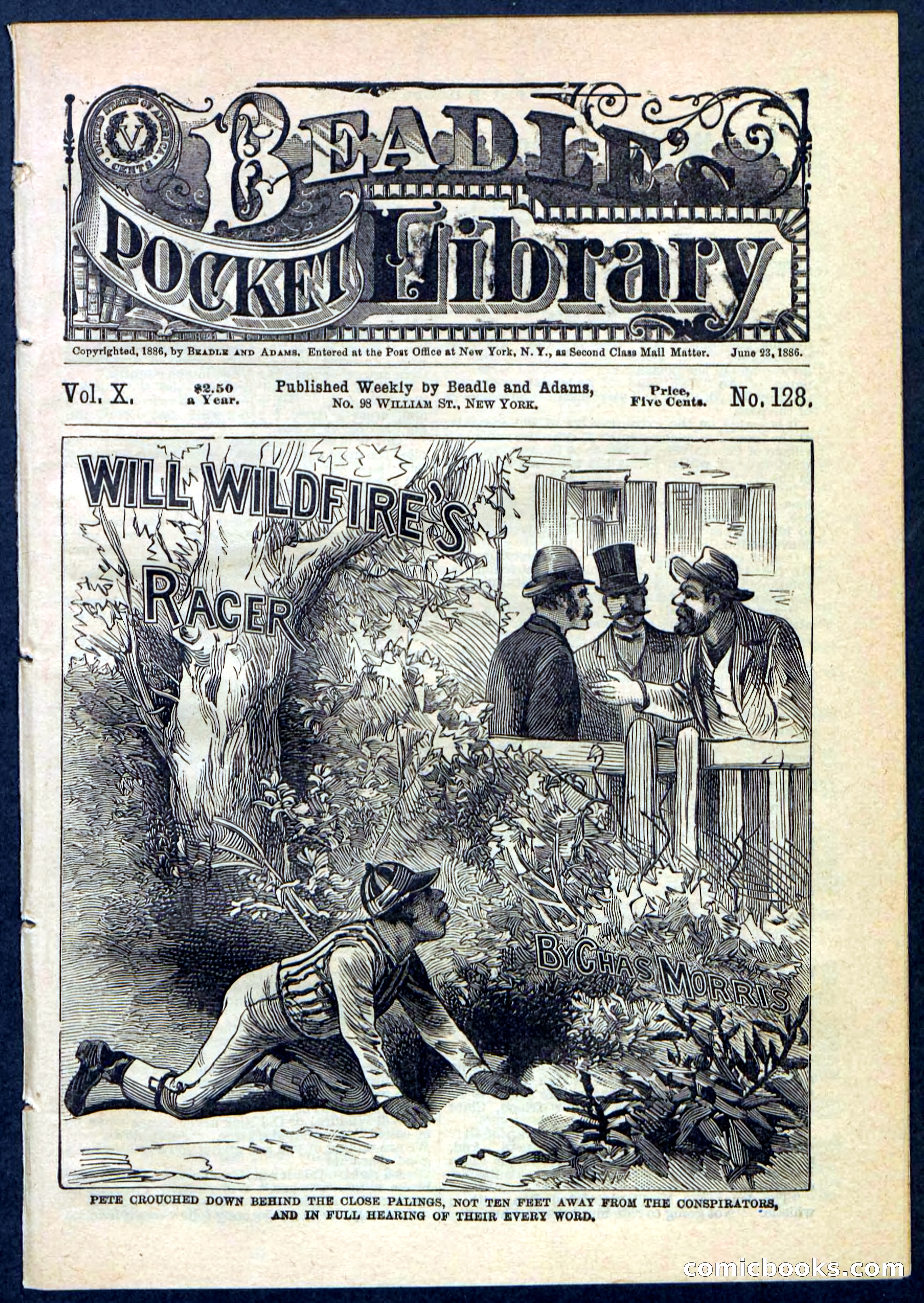 Beadle's Pocket Library No. 128 — page 1 of 32