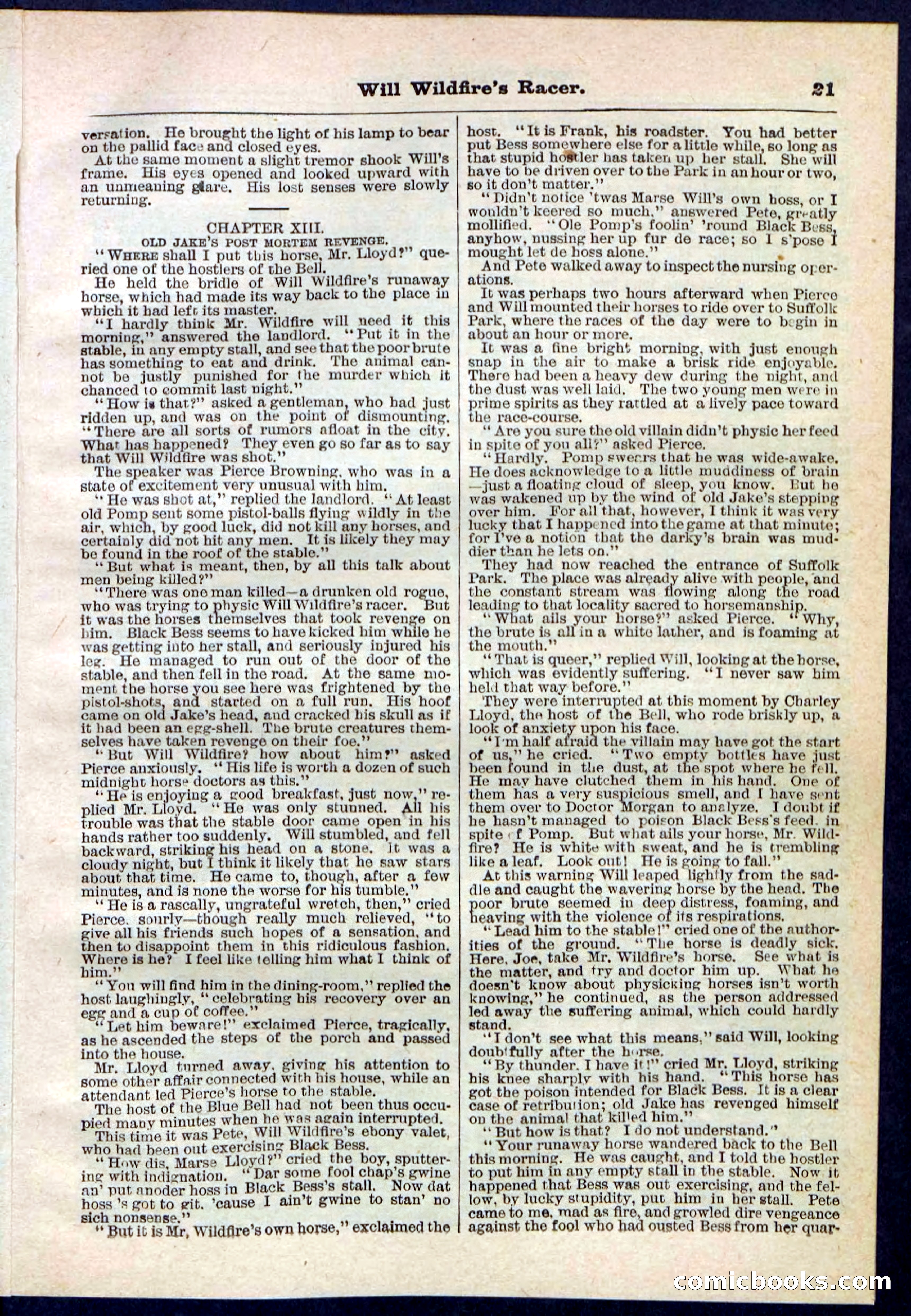 Beadle's Pocket Library No. 128 — page 21 of 32