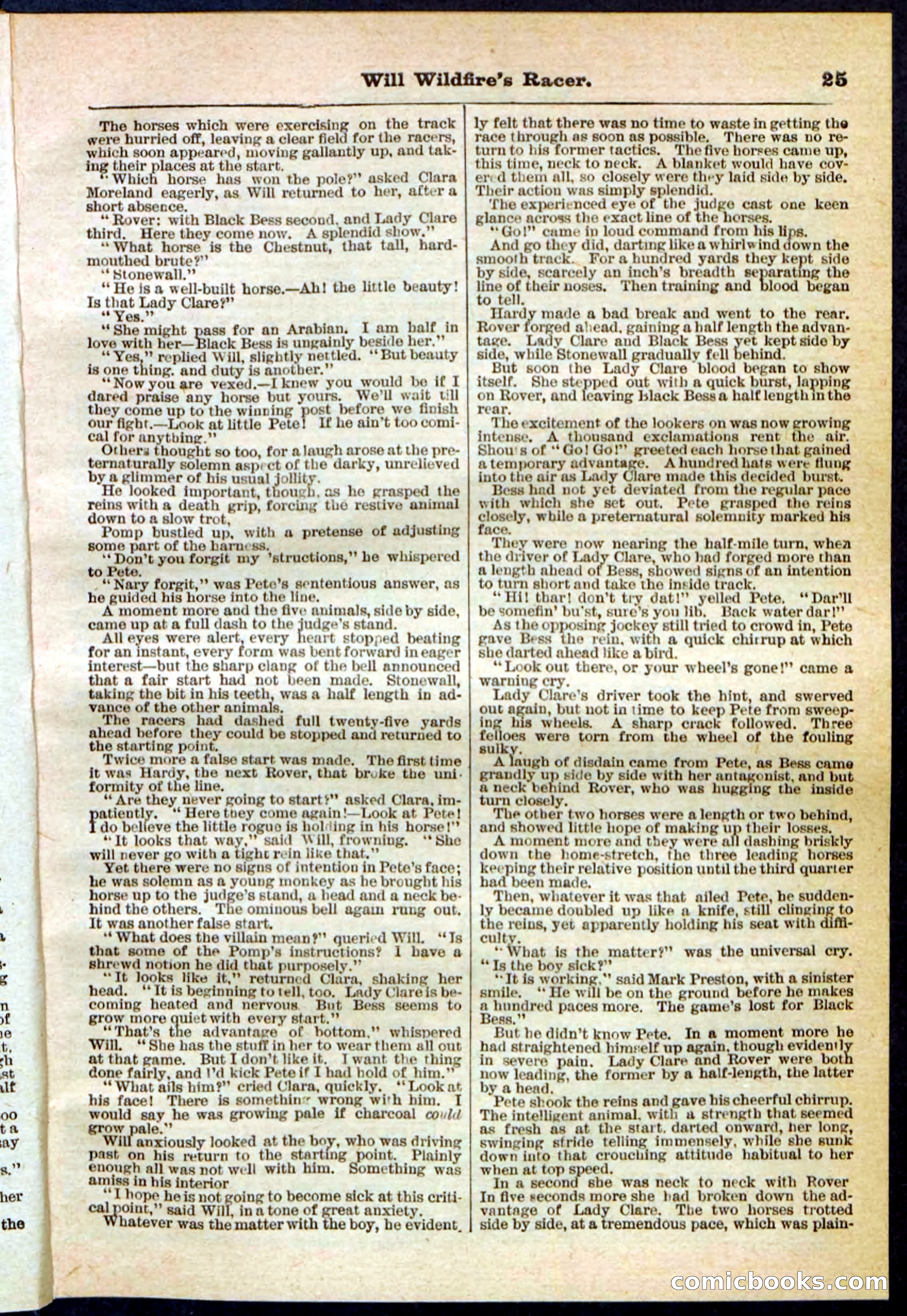 Beadle's Pocket Library No. 128 — page 25 of 32