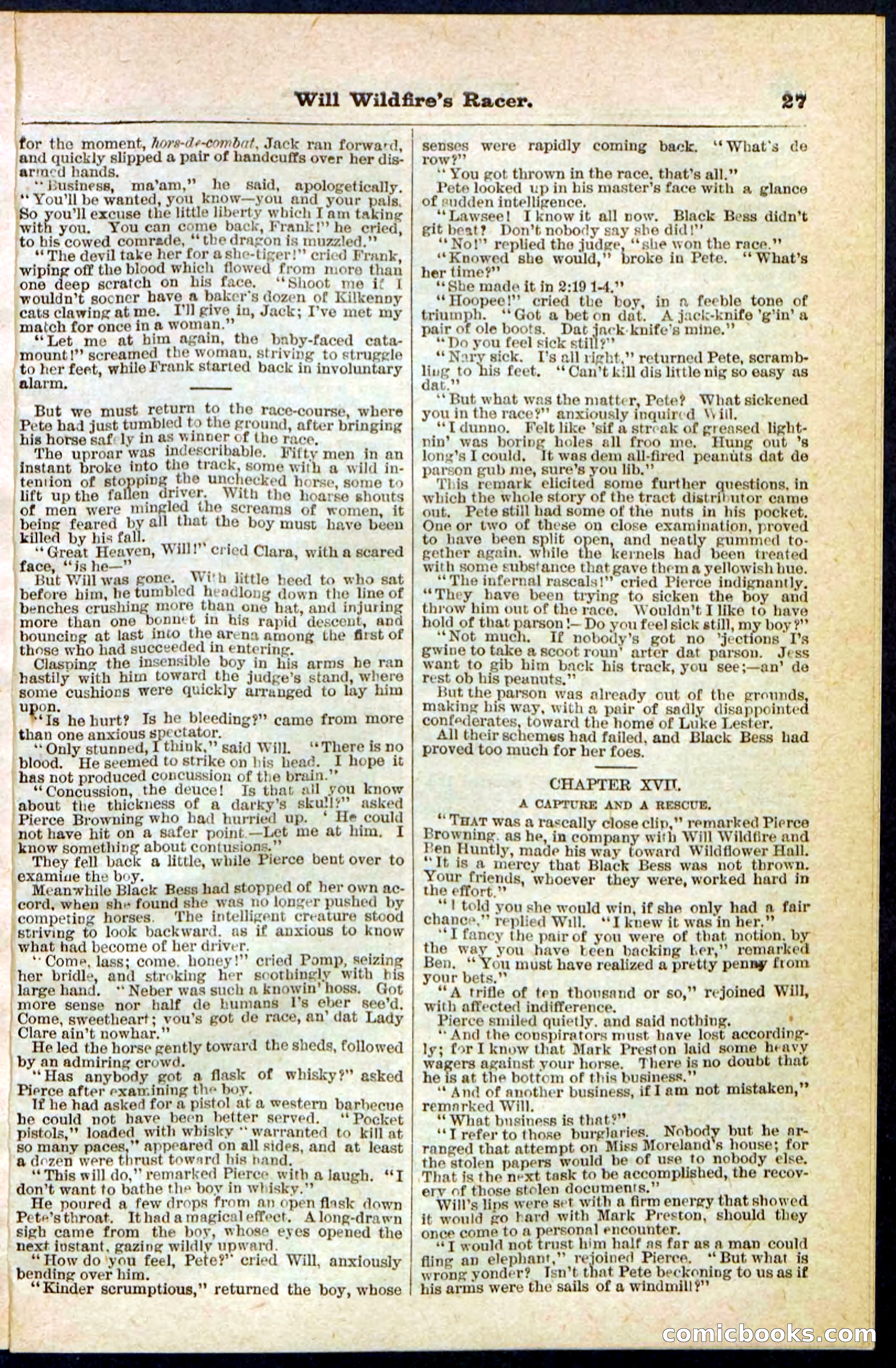 Beadle's Pocket Library No. 128 — page 27 of 32