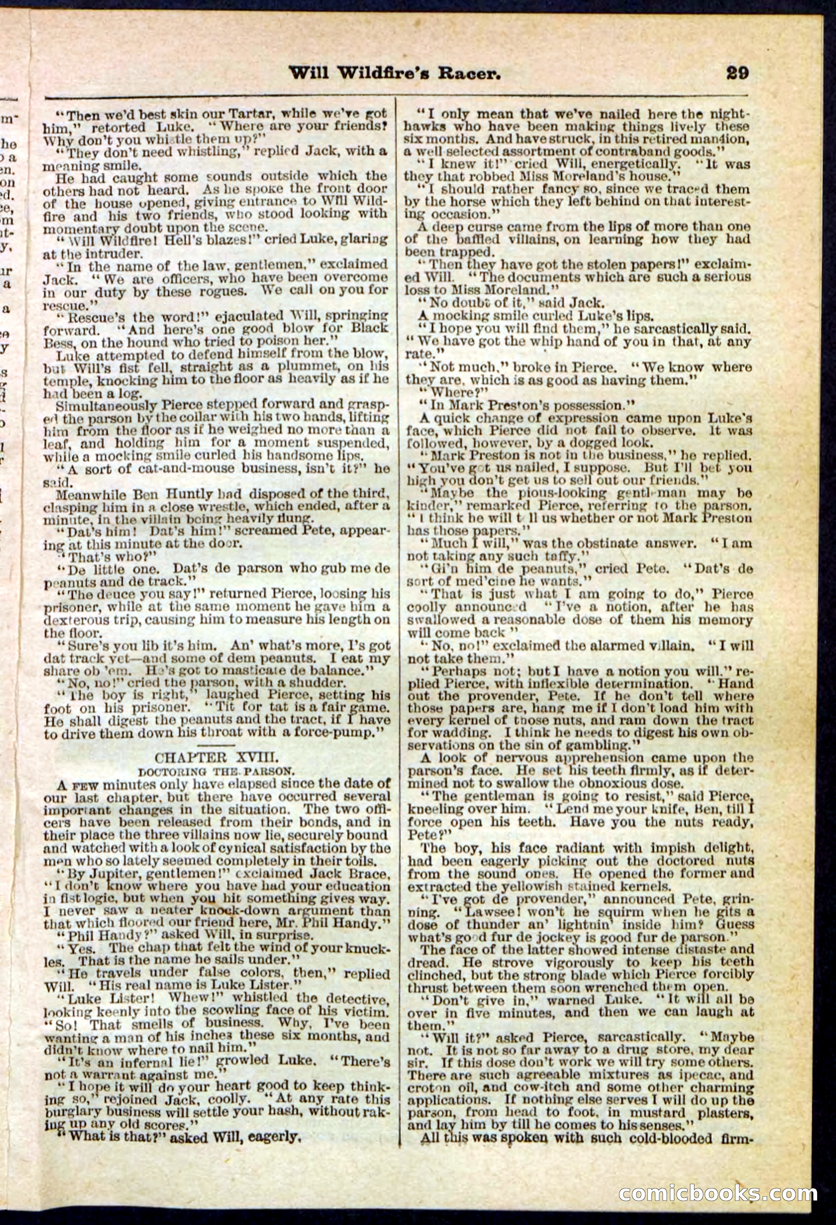 Beadle's Pocket Library No. 128 — page 29 of 32