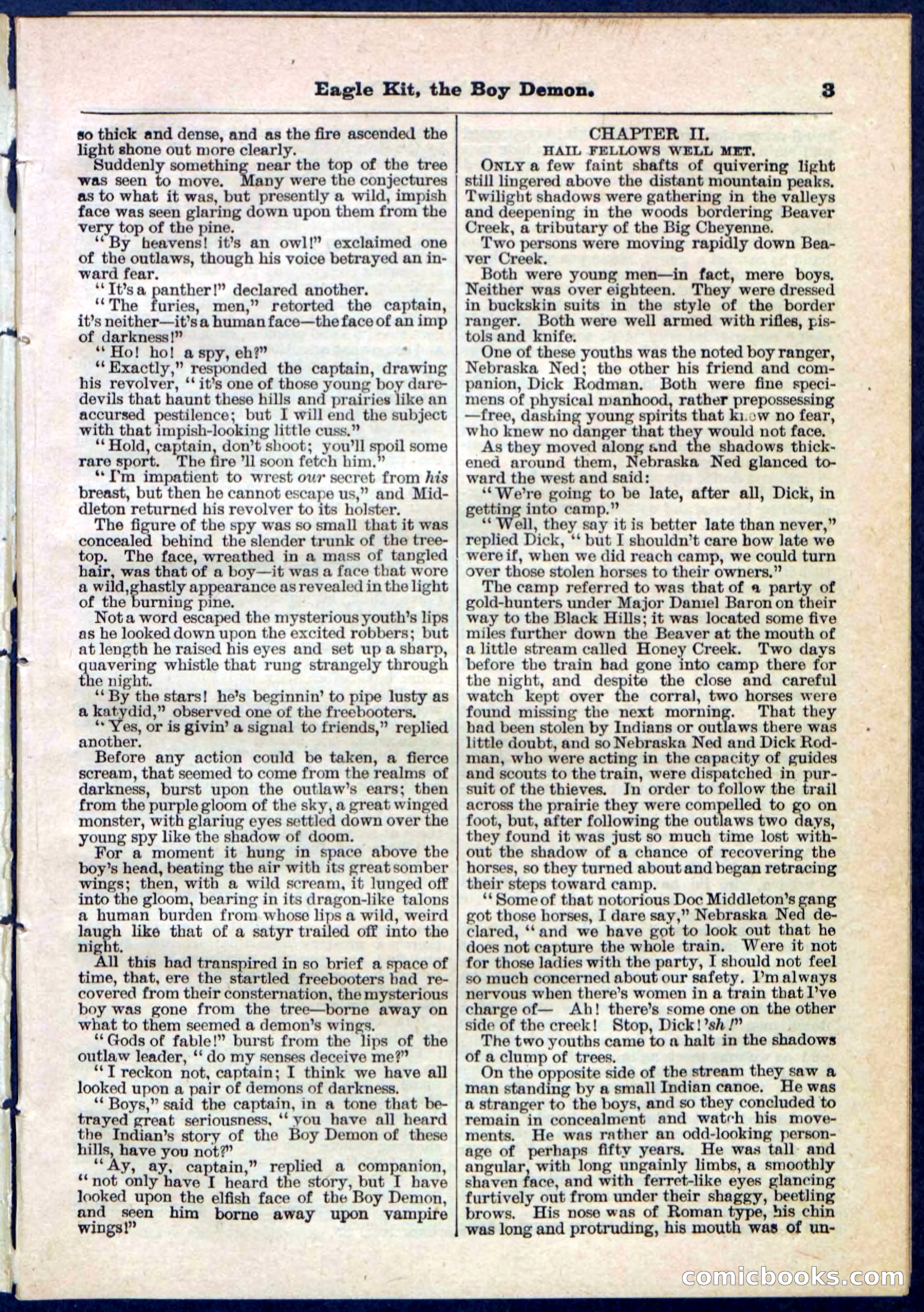 Beadle's Pocket Library No. 129 — page 3 of 32