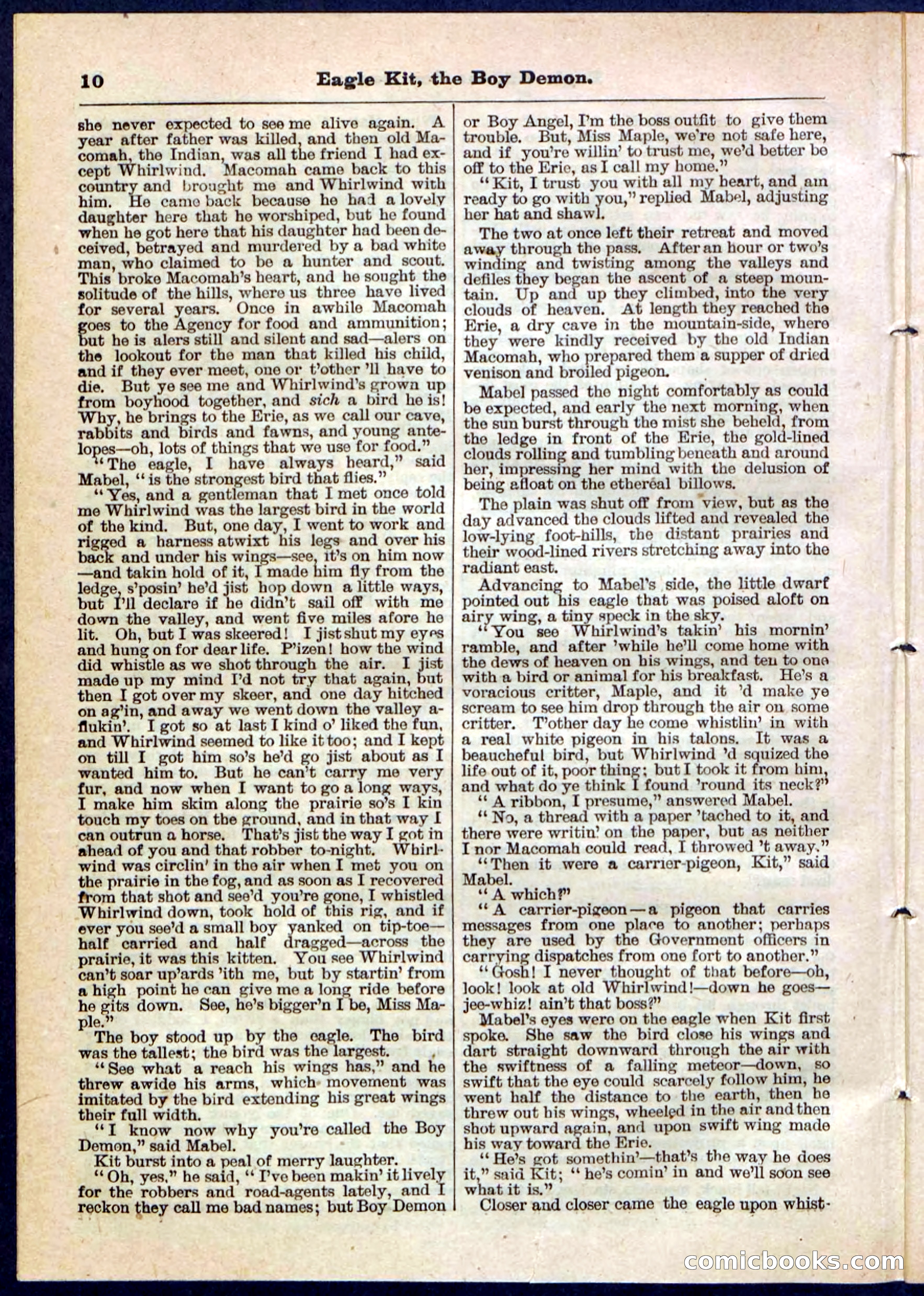 Beadle's Pocket Library No. 129 — page 10 of 32