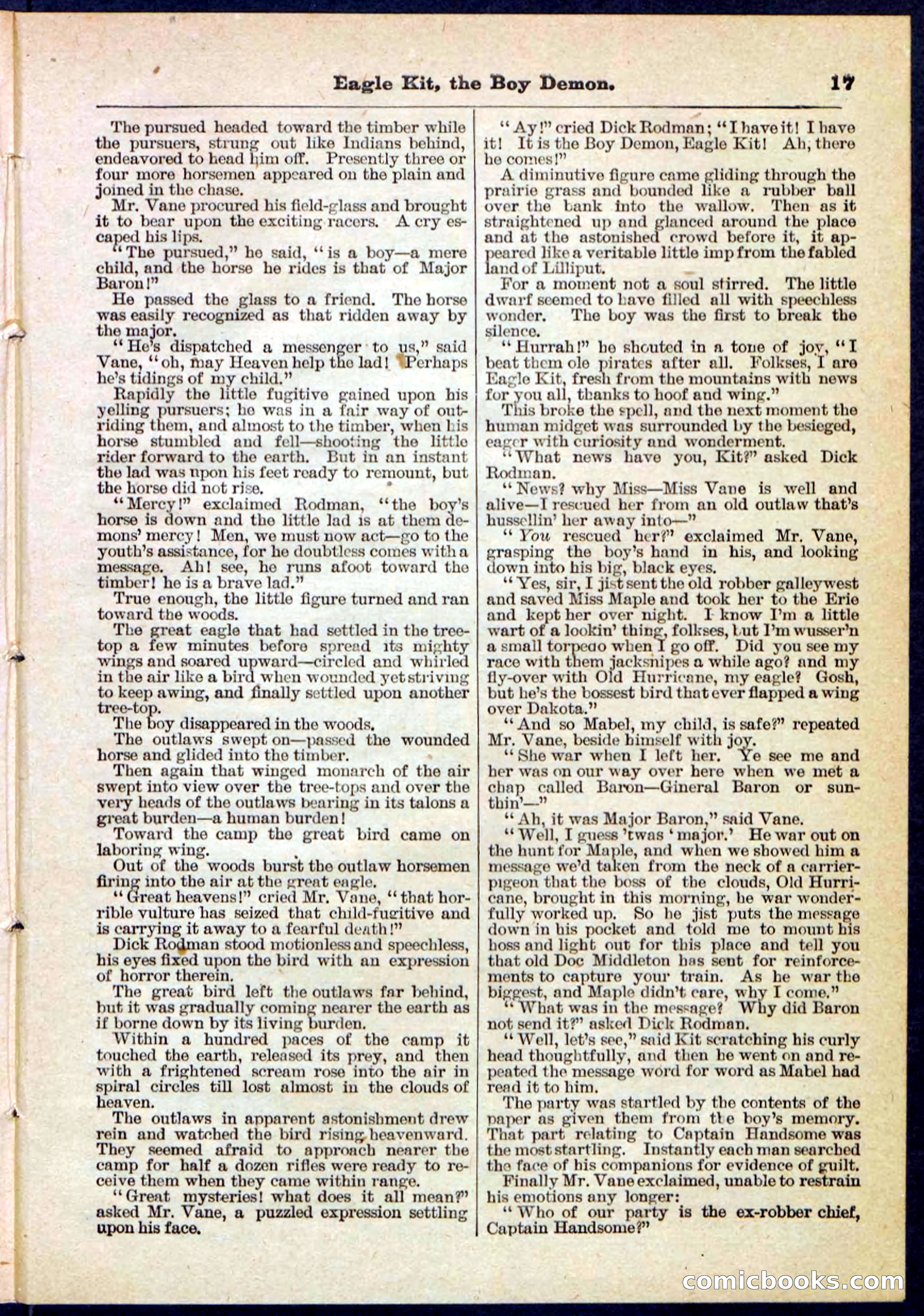 Beadle's Pocket Library No. 129 — page 17 of 32