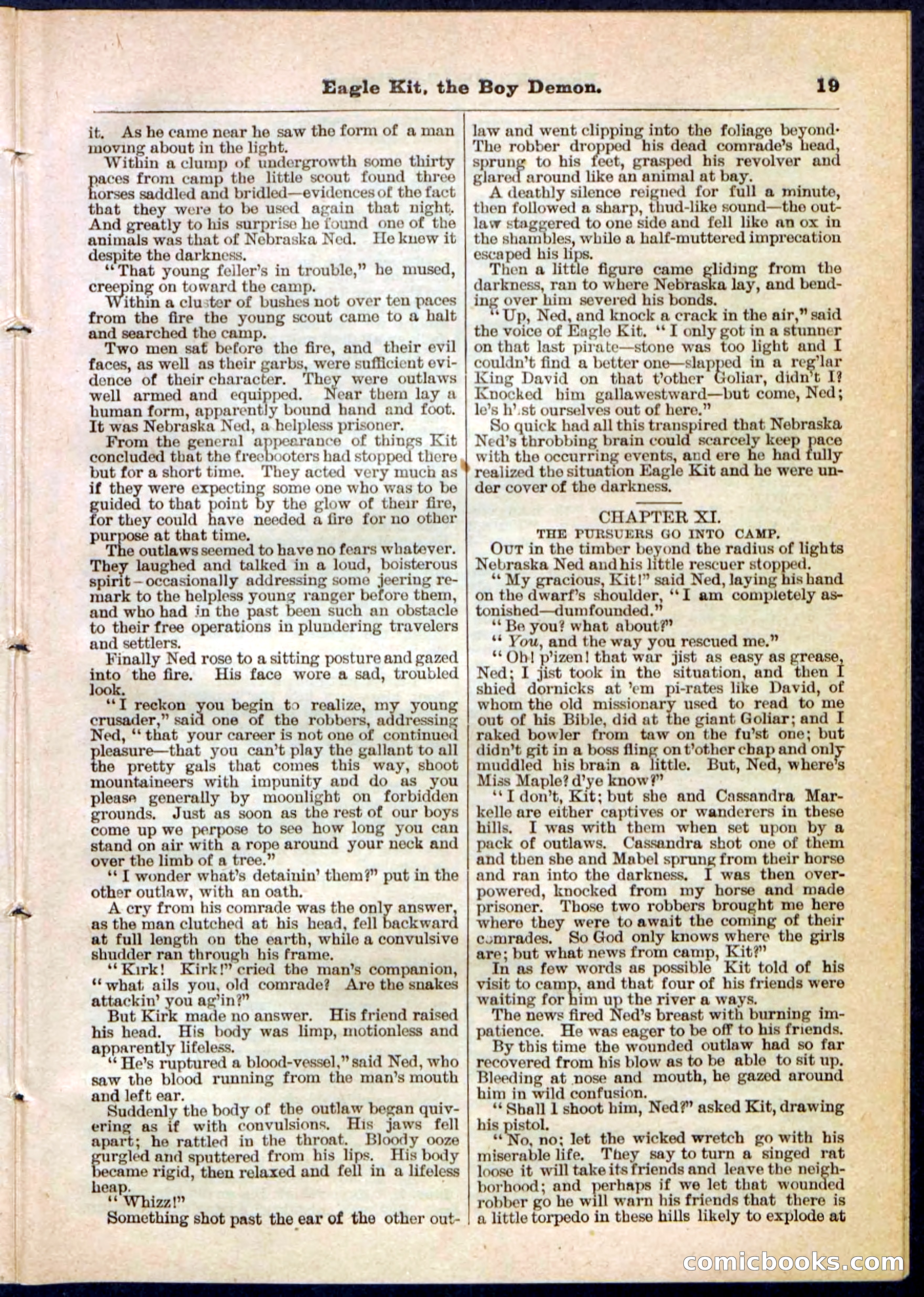 Beadle's Pocket Library No. 129 — page 19 of 32